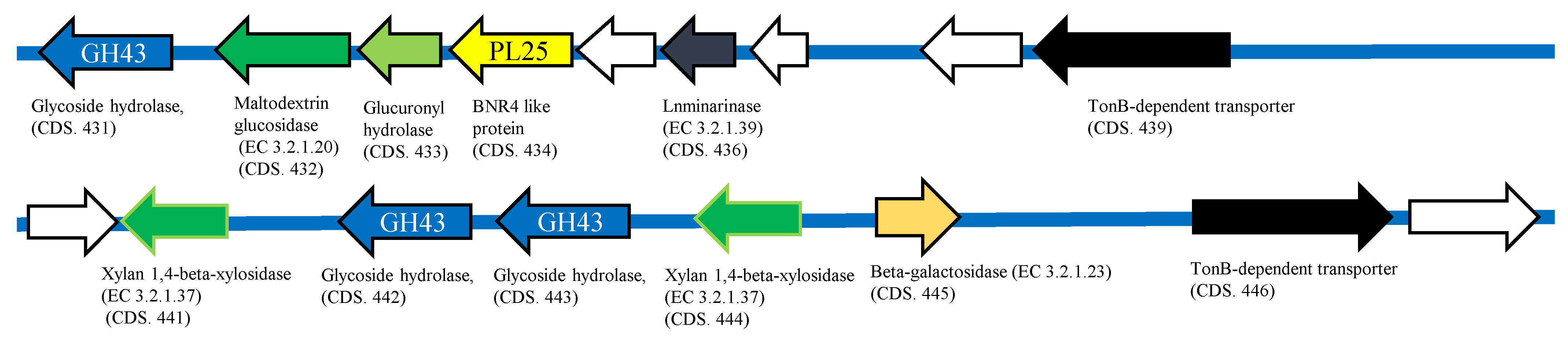 Molecules 27 03420 g006 550