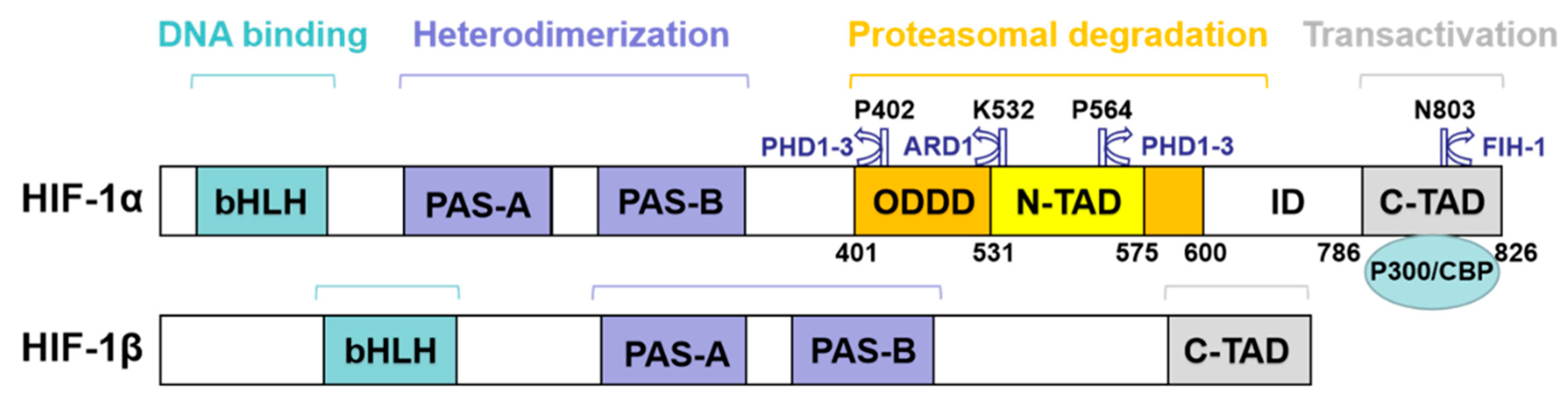 Molecules 27 03426 g001 550