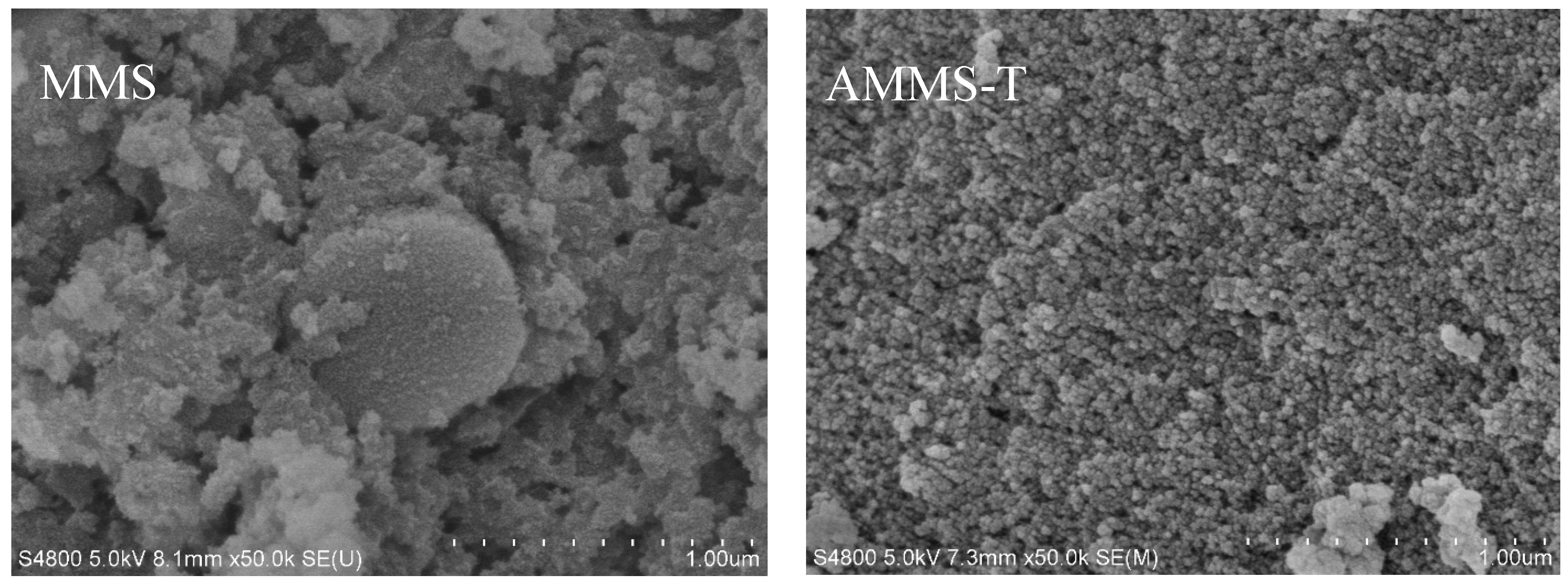 Molecules 27 03429 g002 550