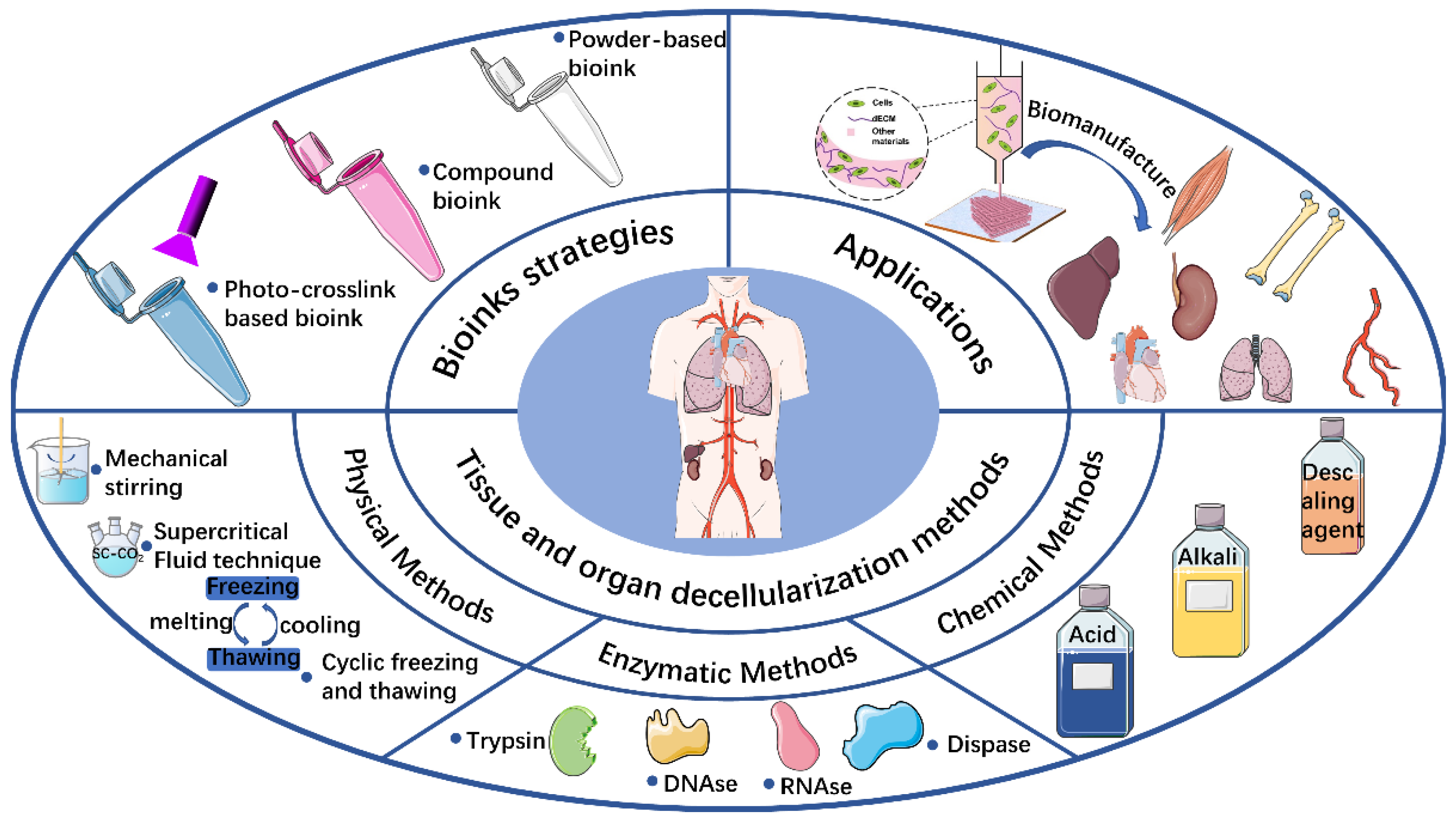 Molecules 27 03442 g001 550