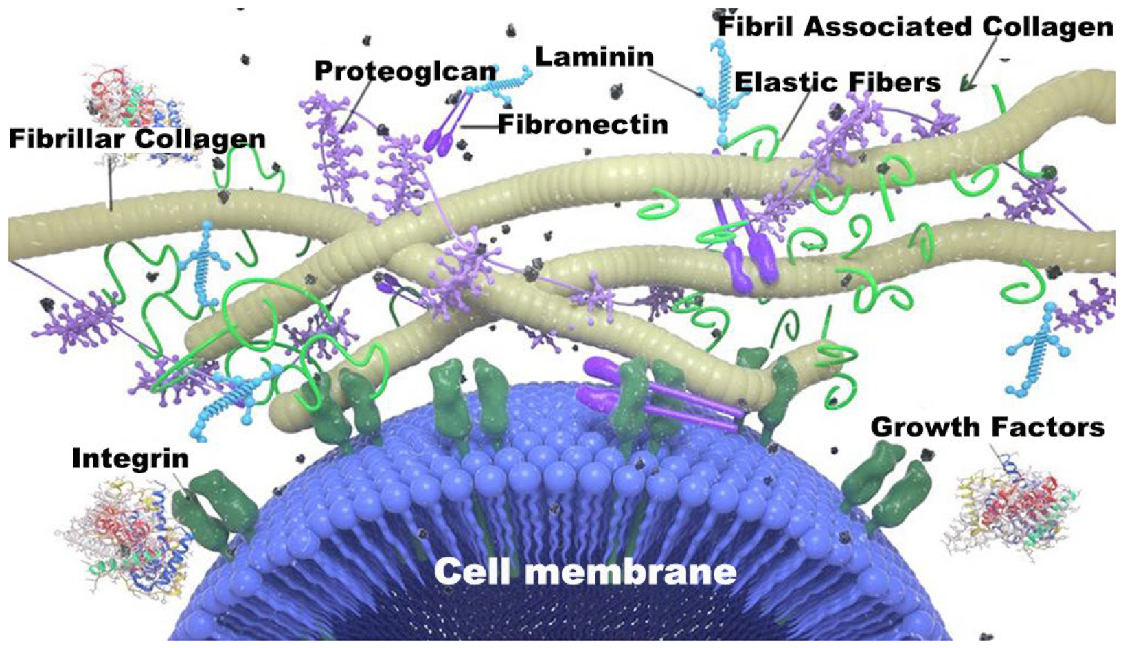 Molecules 27 03442 g002 550