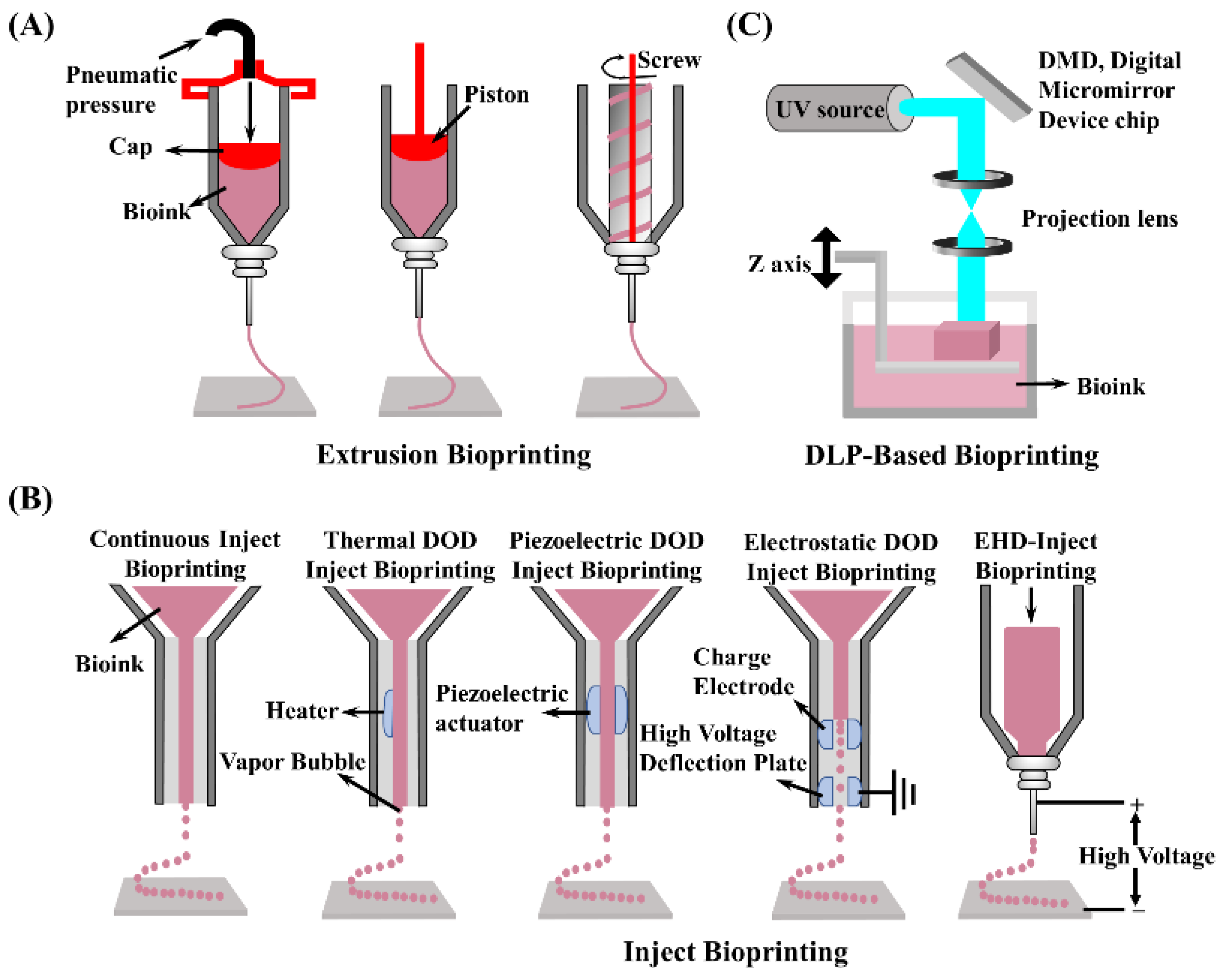 Molecules 27 03442 g004 550