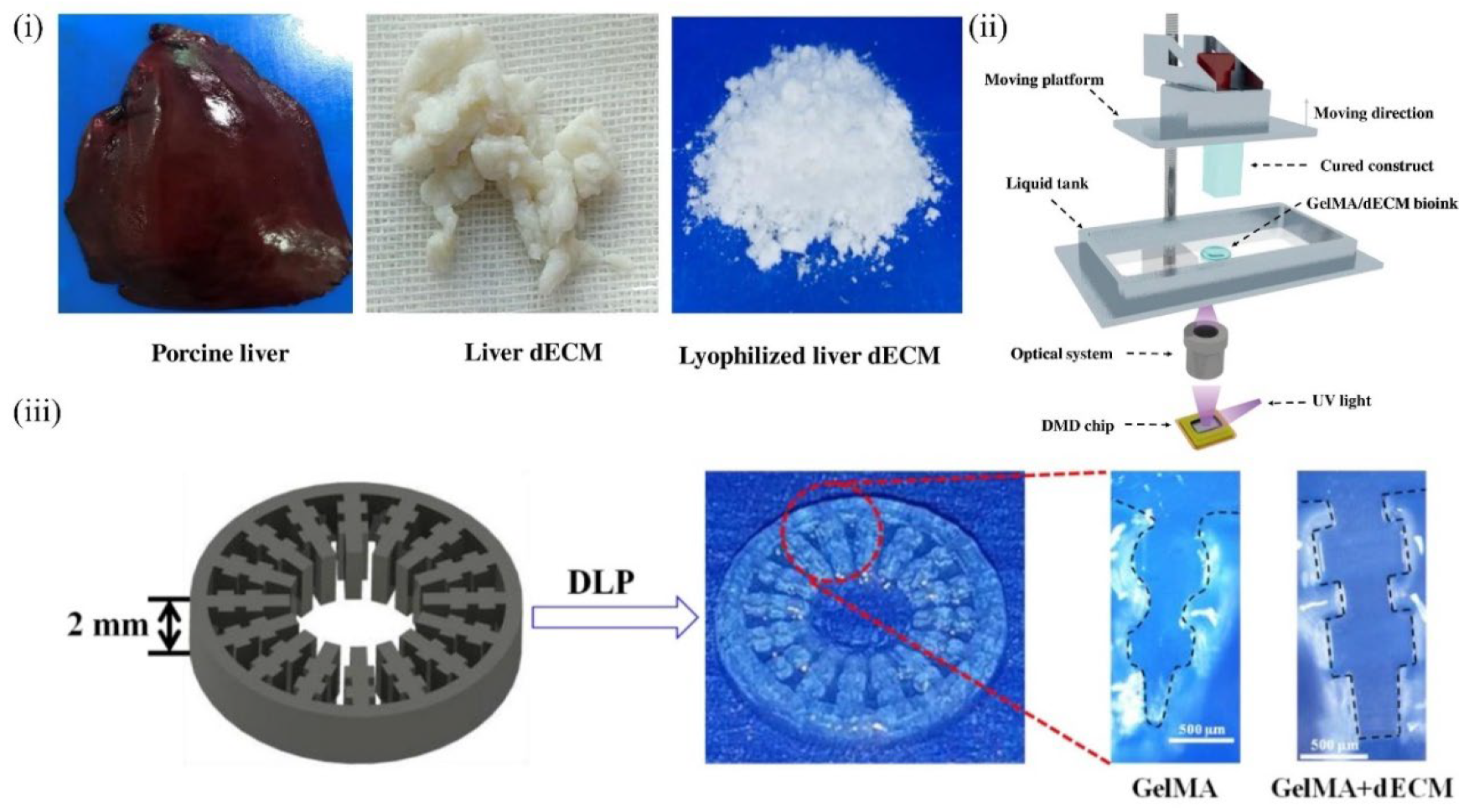 Molecules 27 03442 g006 550