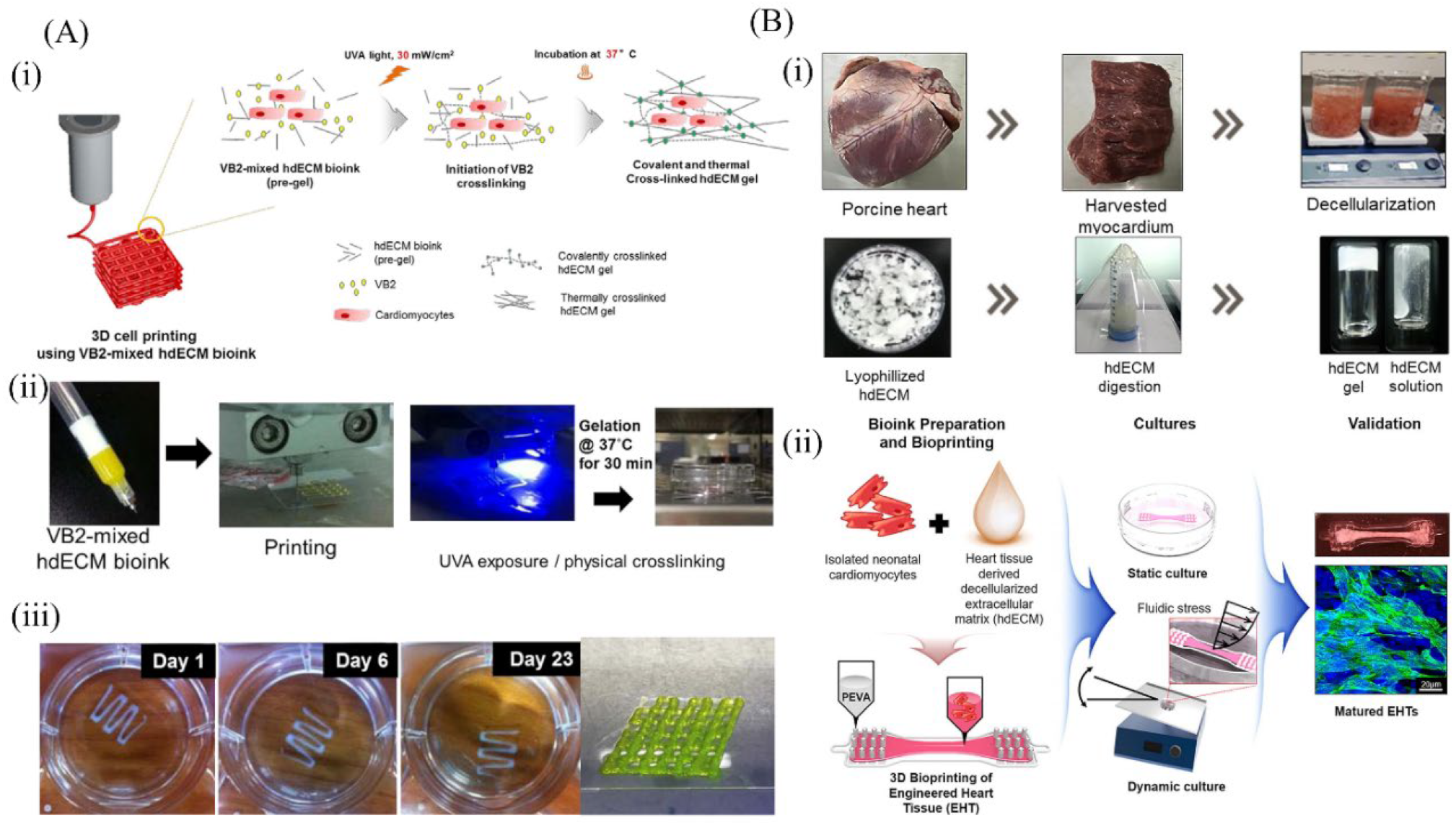 Molecules 27 03442 g008 550
