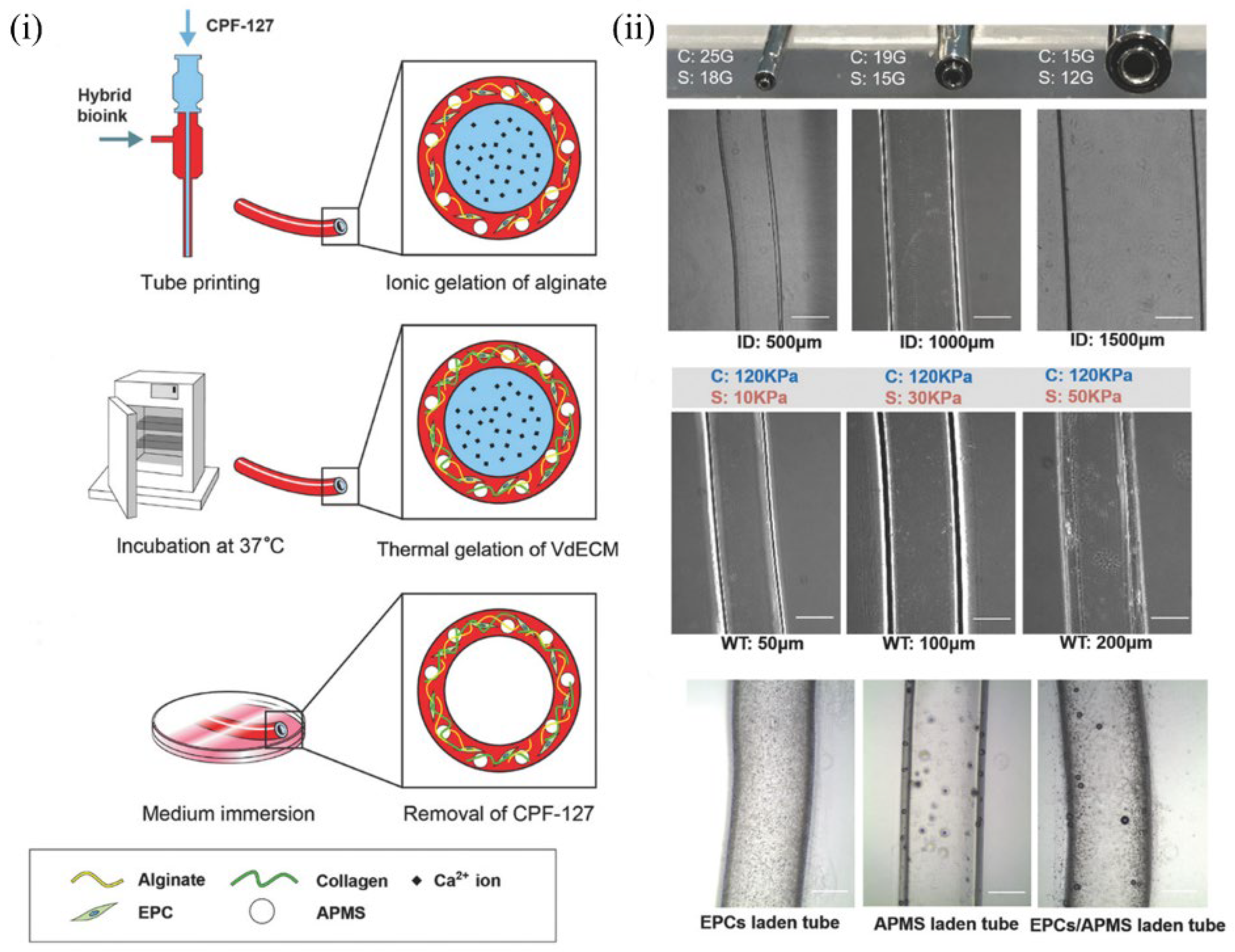 Molecules 27 03442 g009 550