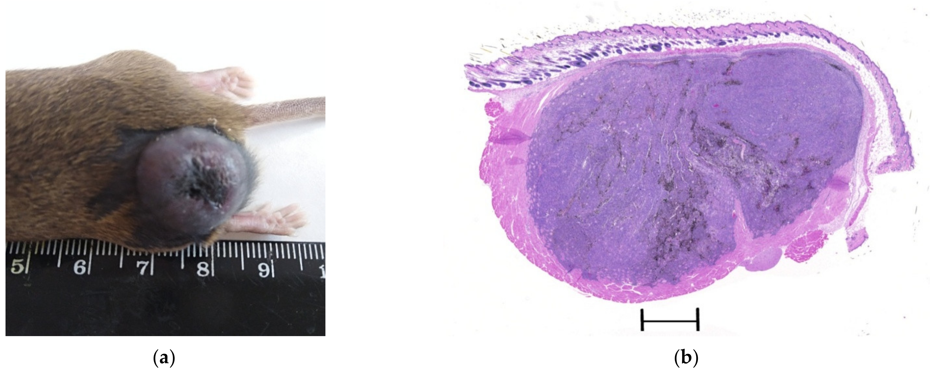 Molecules 27 03445 g002a 550