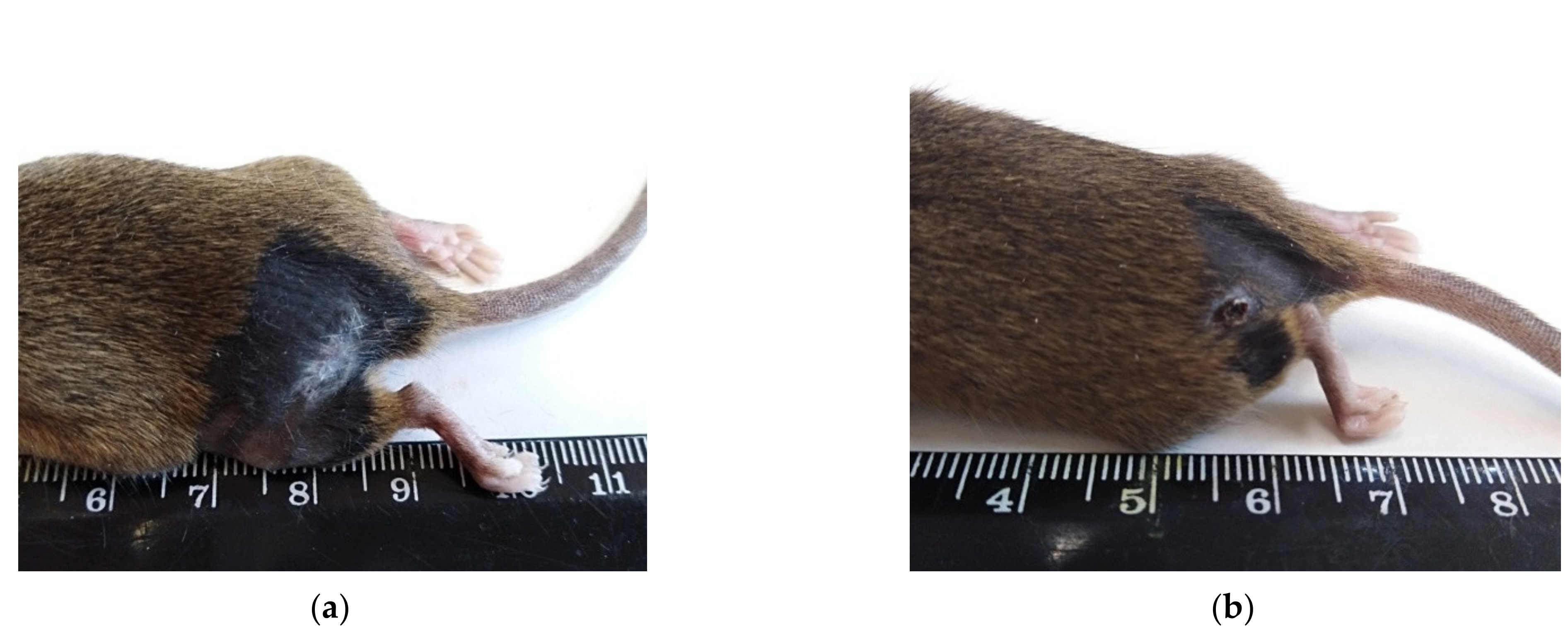 Molecules 27 03445 g003 550