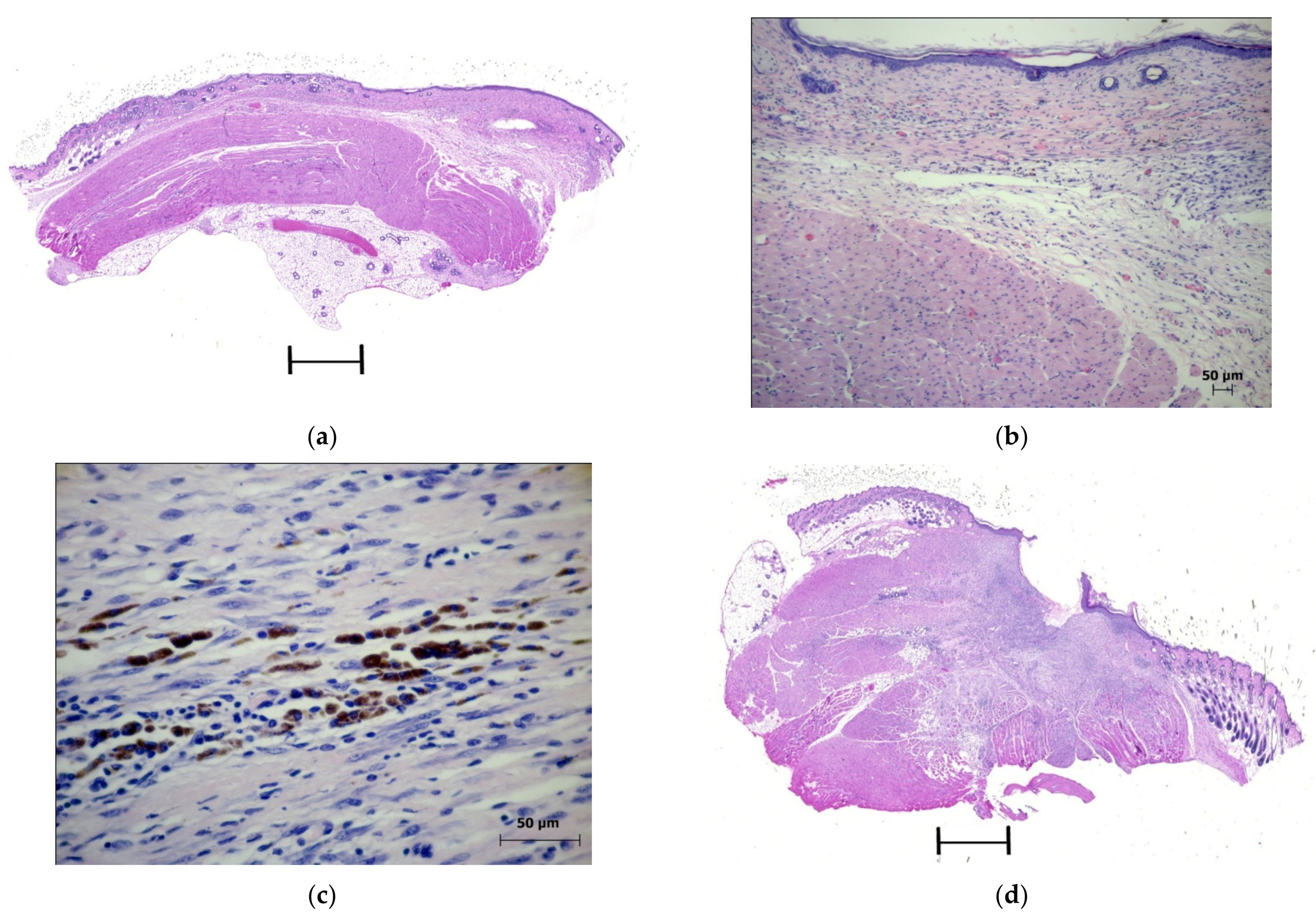 Molecules 27 03445 g004a 550