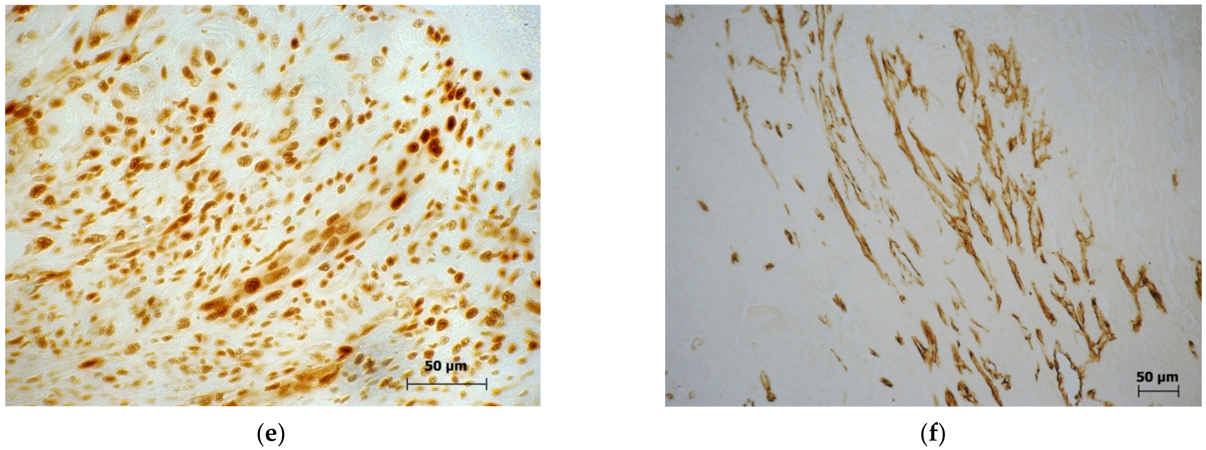 Molecules 27 03445 g004b 550