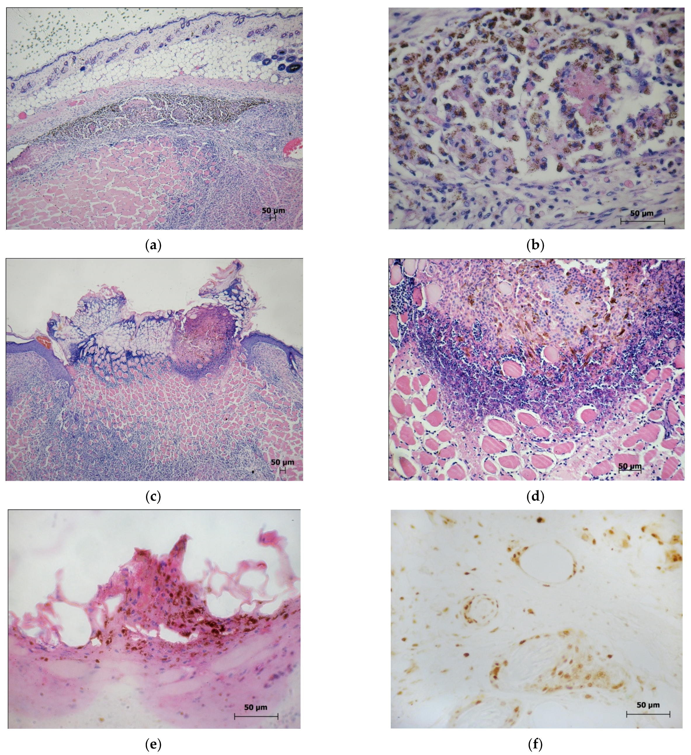 Molecules 27 03445 g005 550