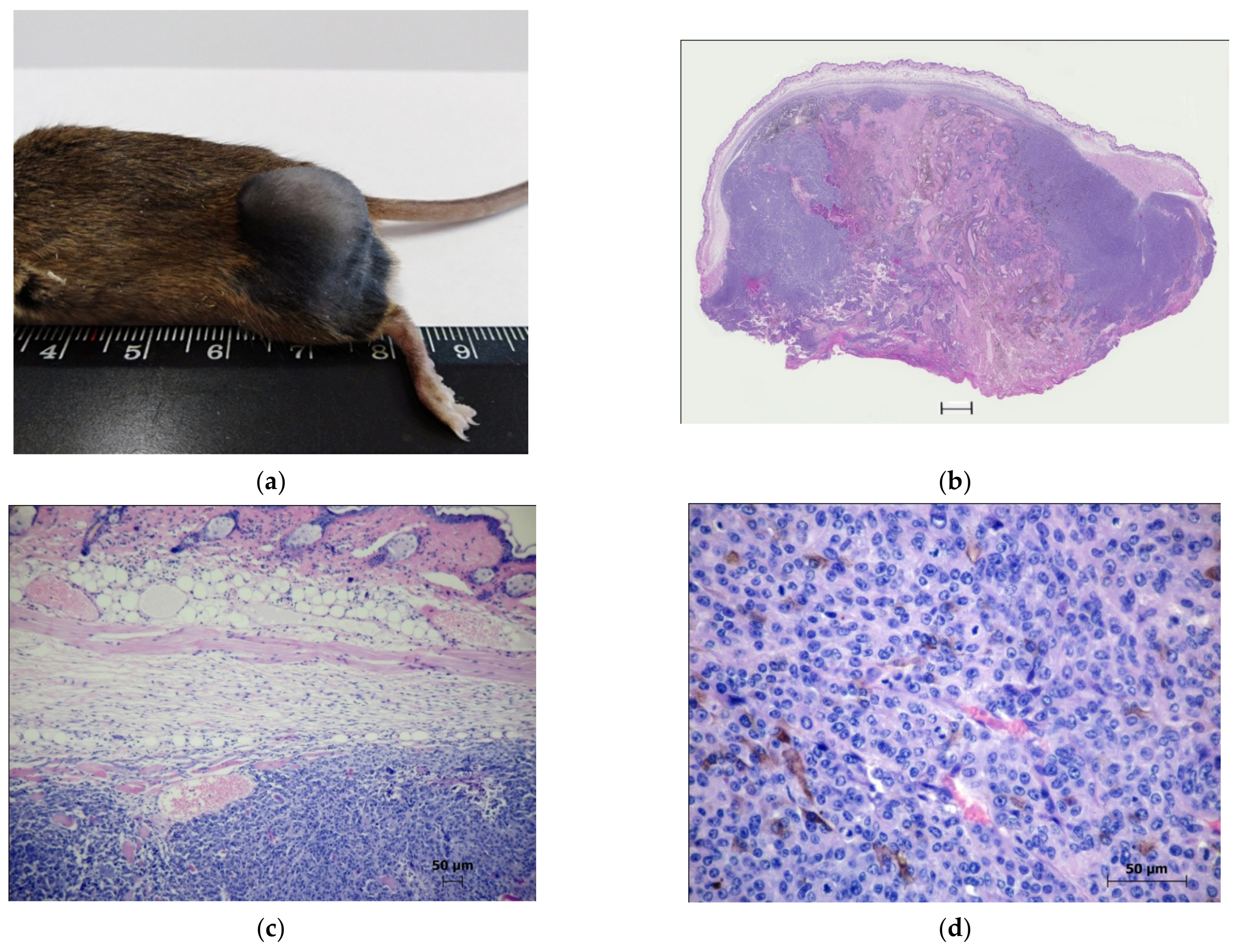 Molecules 27 03445 g006a 550