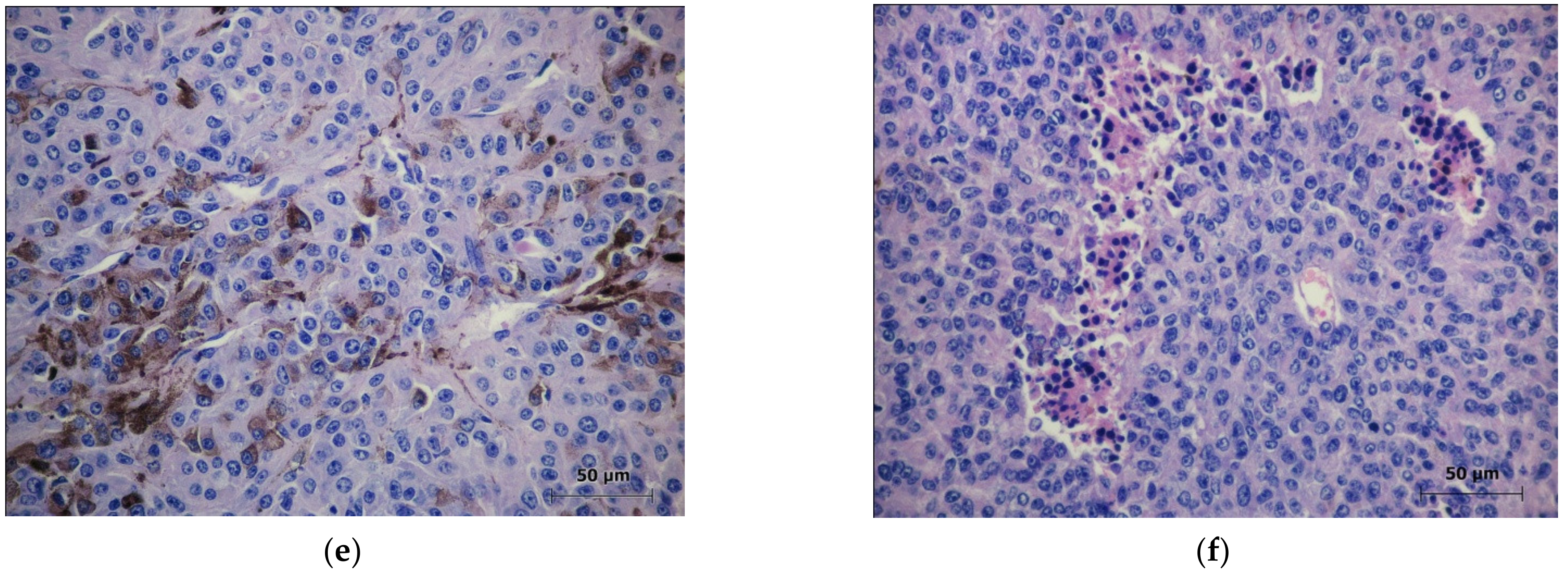 Molecules 27 03445 g006b 550