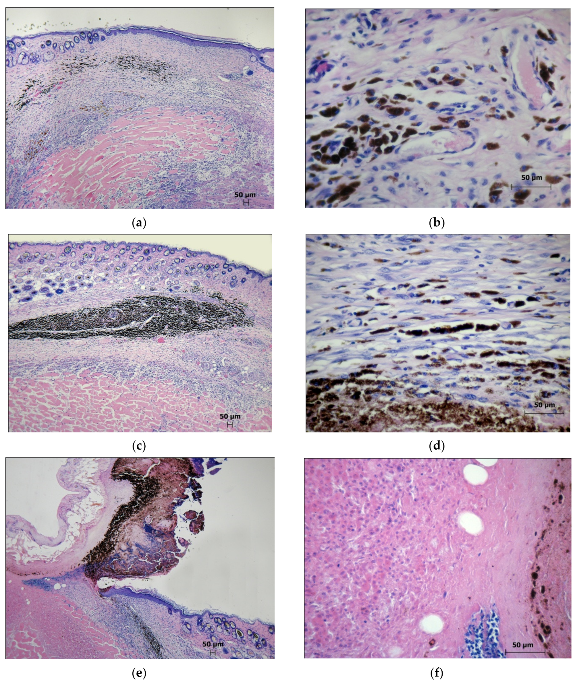 Molecules 27 03445 g007 550