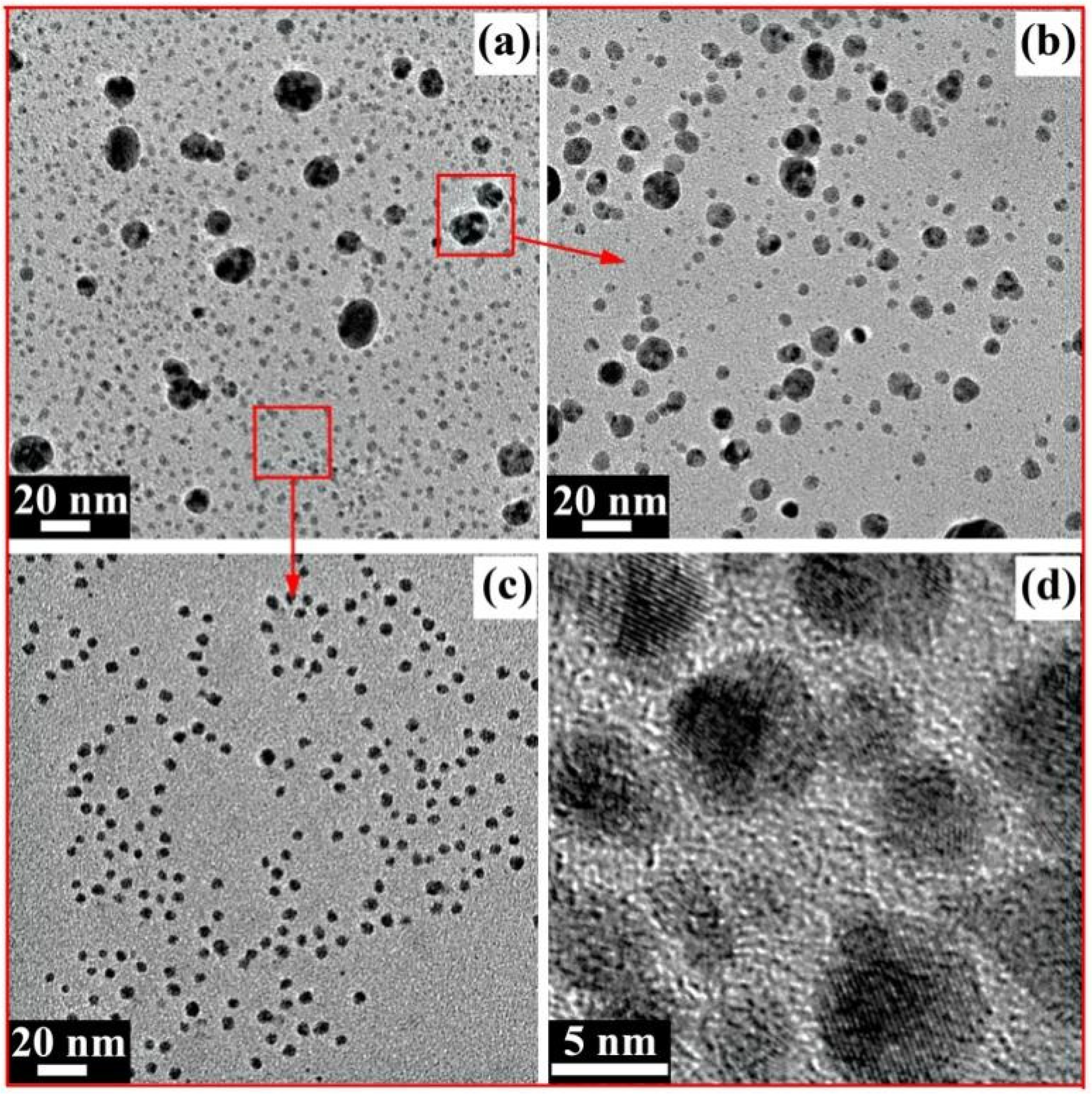 Molecules 27 03455 g007 Molecules 27 03455 g007