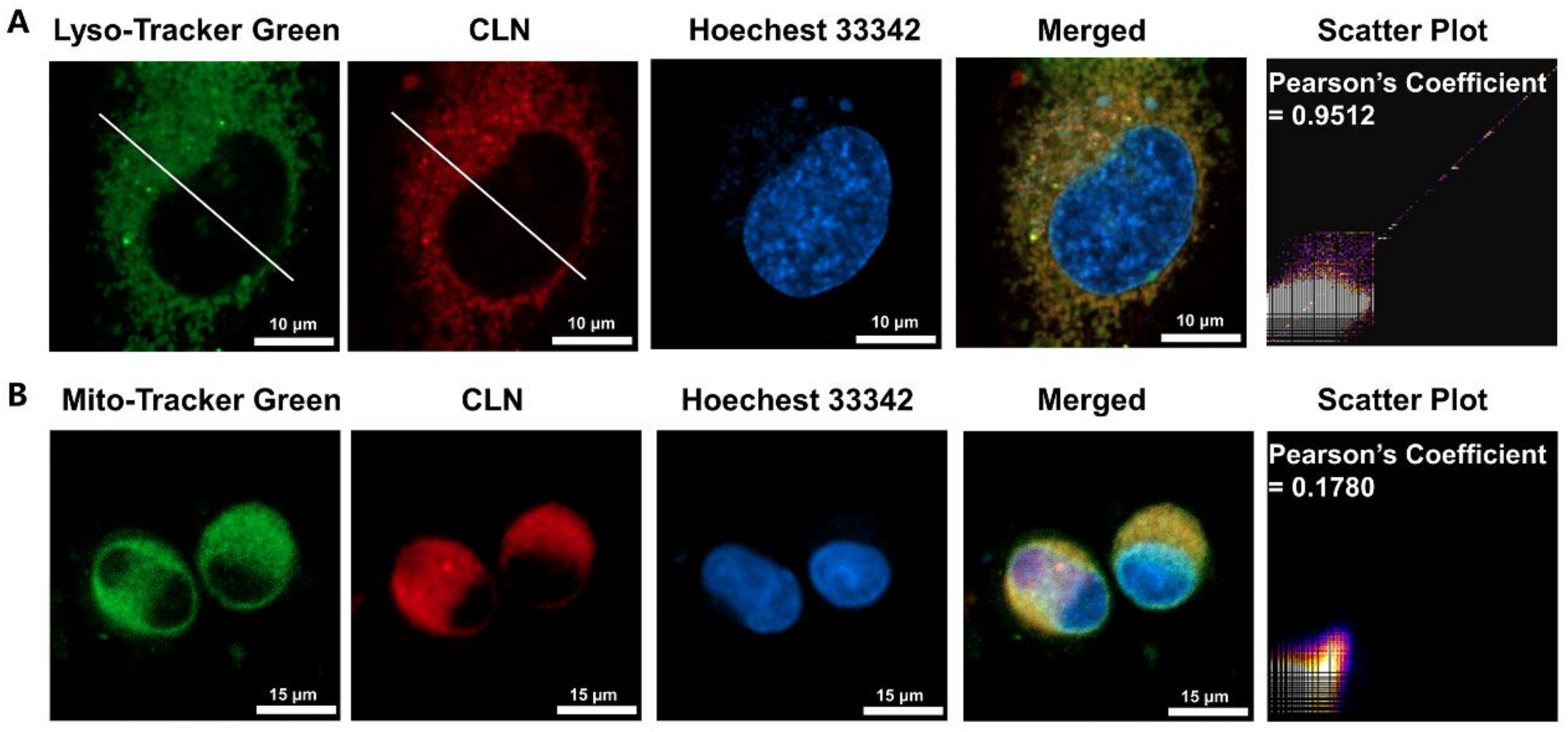 Molecules 27 03457 g003