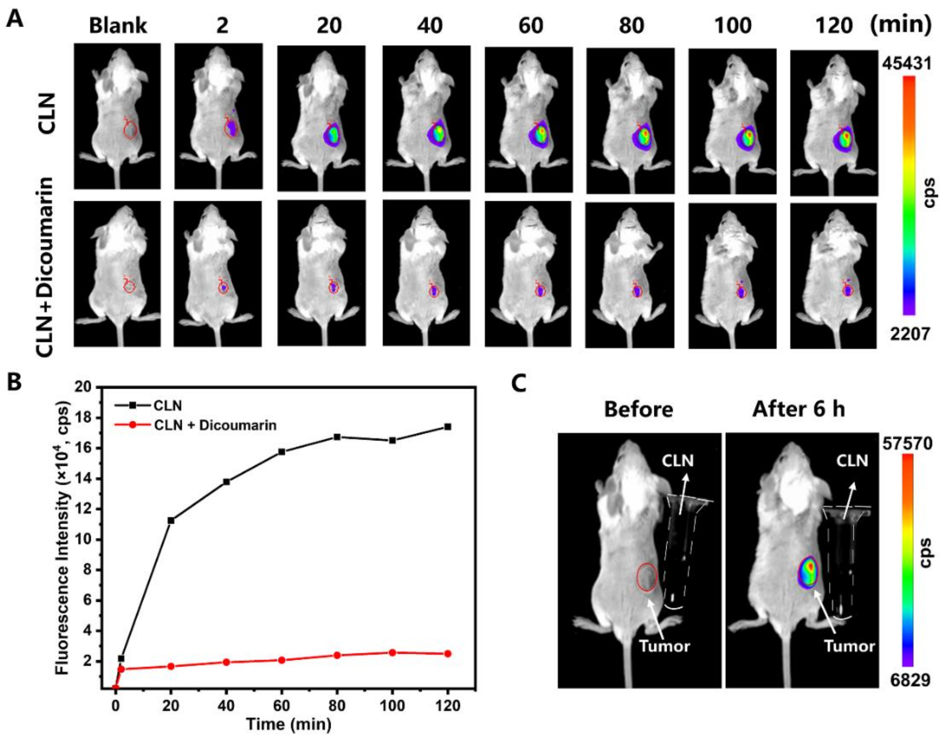 Molecules 27 03457 g005