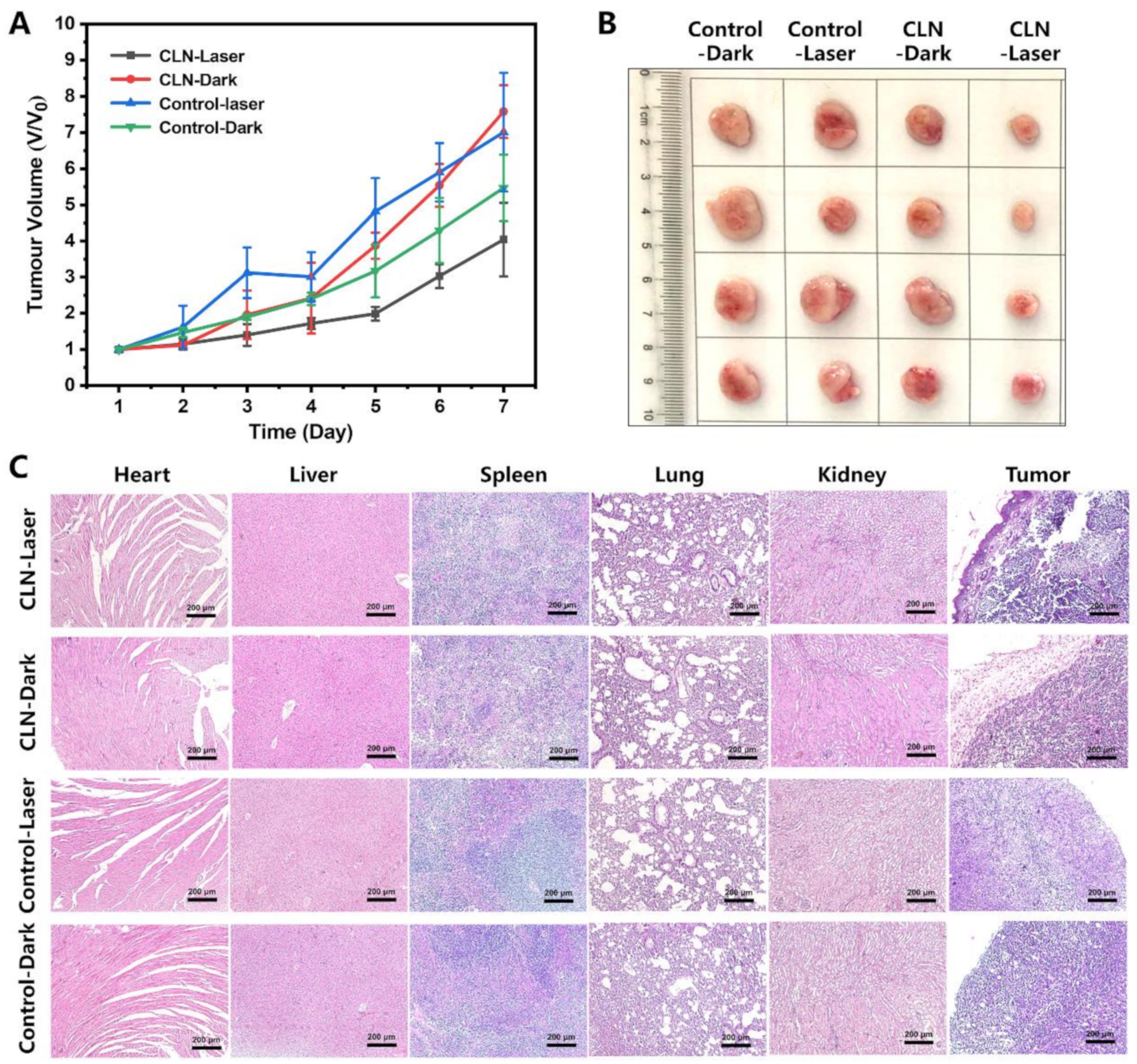 Molecules 27 03457 g007