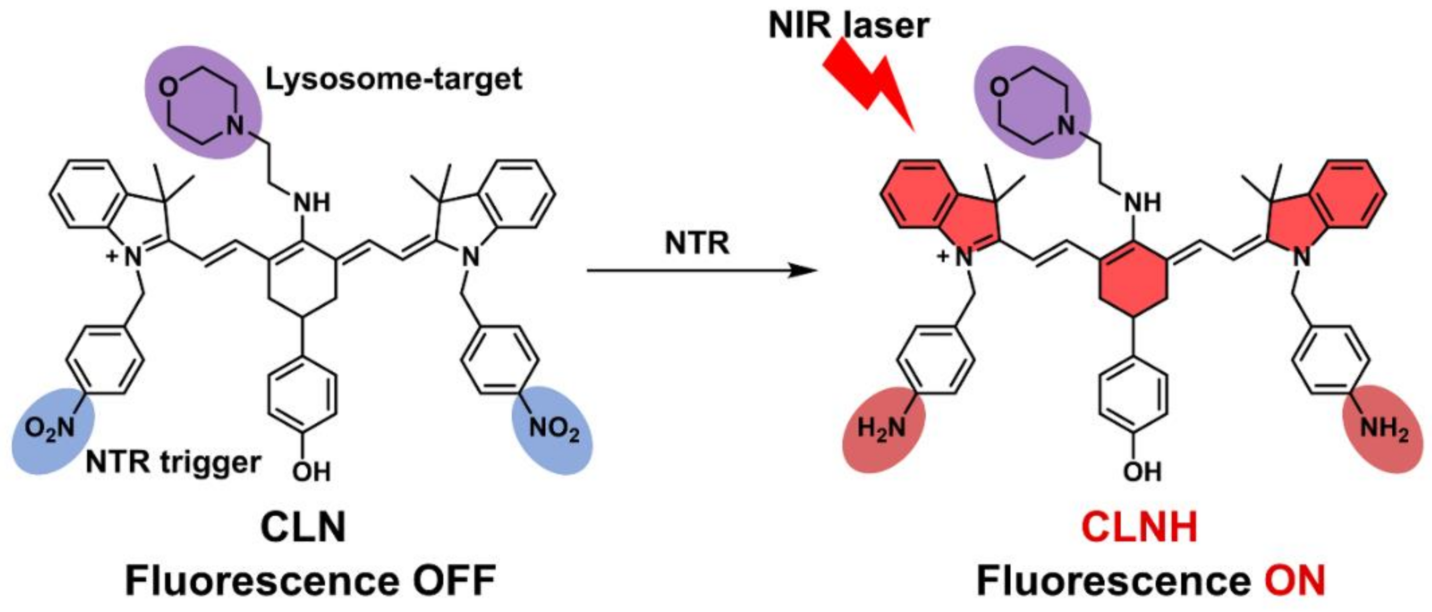 Molecules 27 03457 sch001