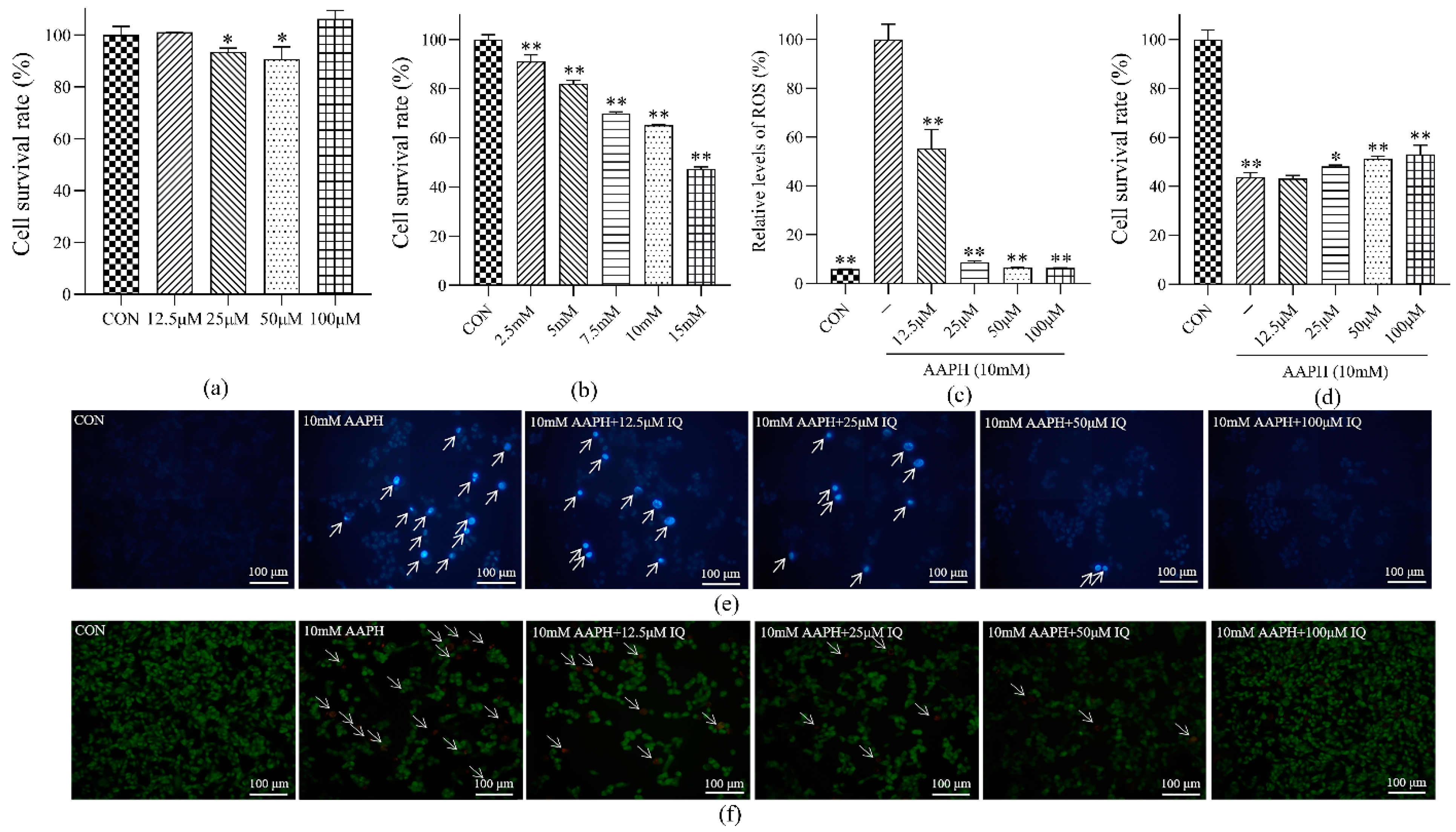 Molecules 27 03459 g001 550