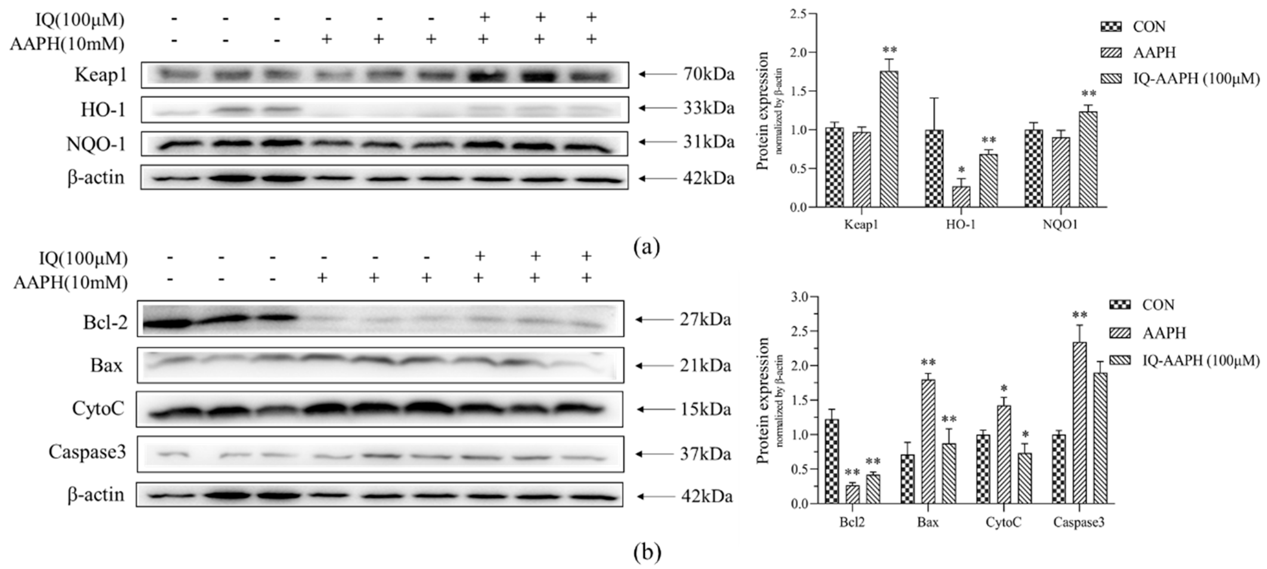 Molecules 27 03459 g003 550
