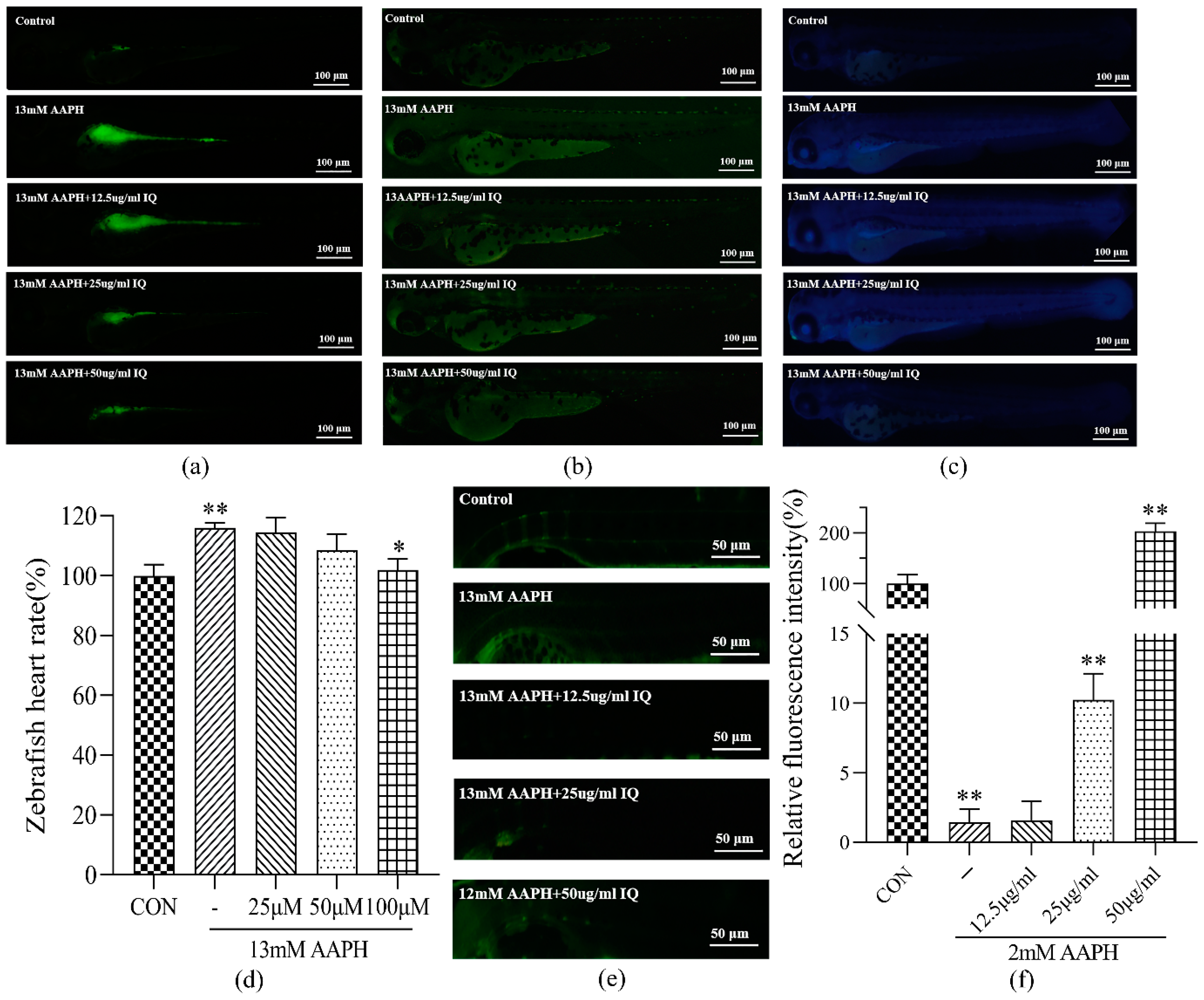 Molecules 27 03459 g004 550