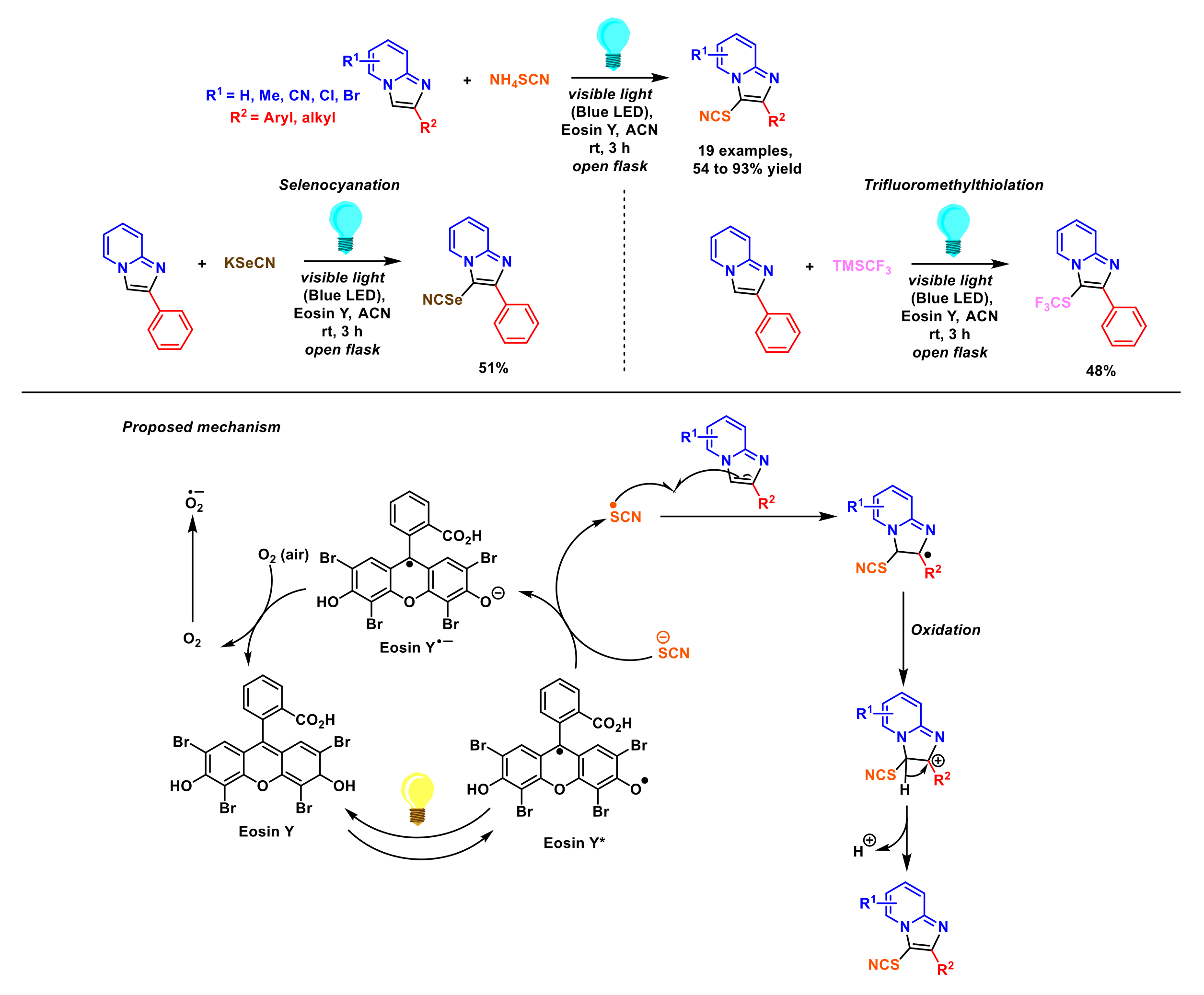 Molecules 27 03461 sch001