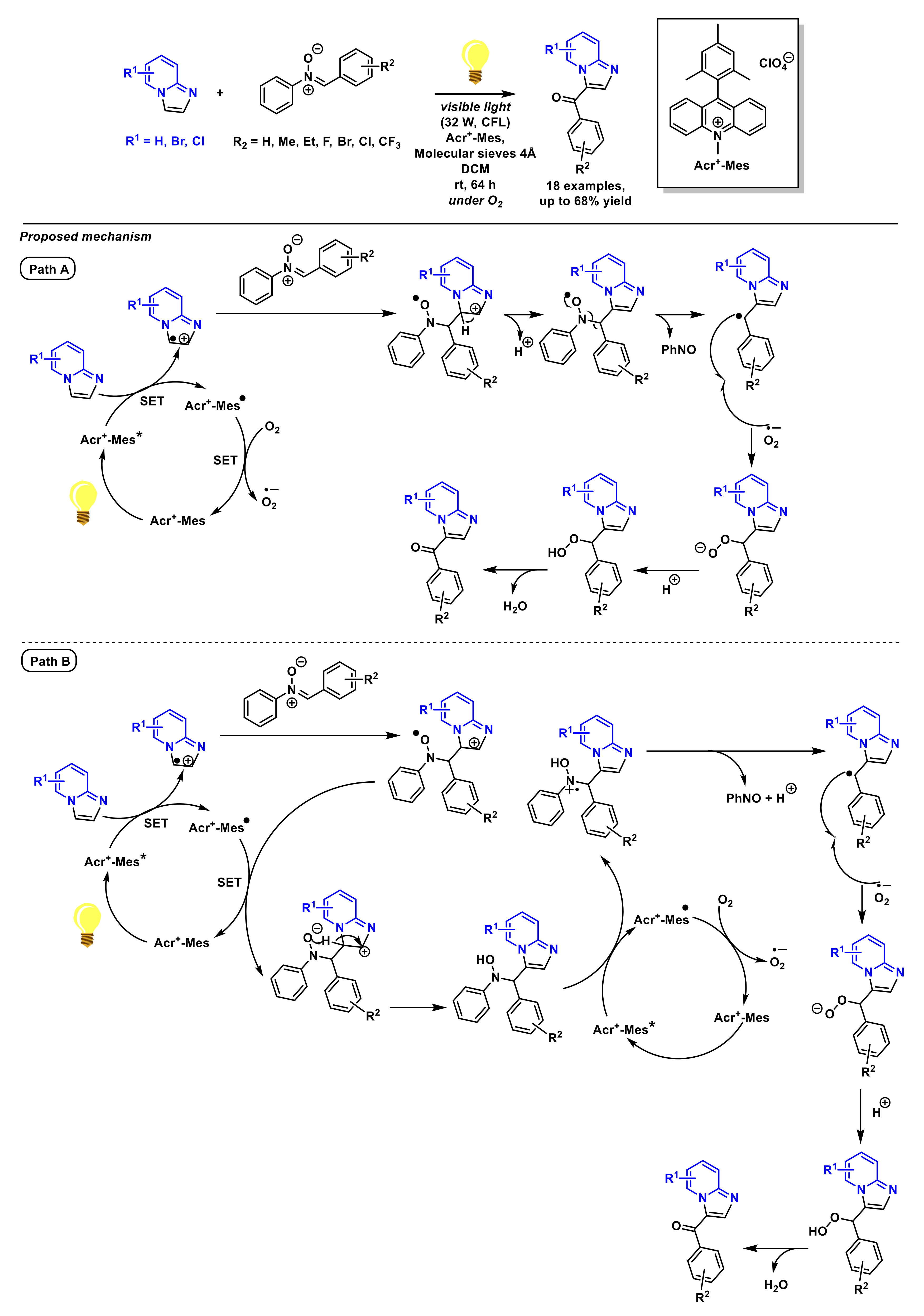 Molecules 27 03461 sch026