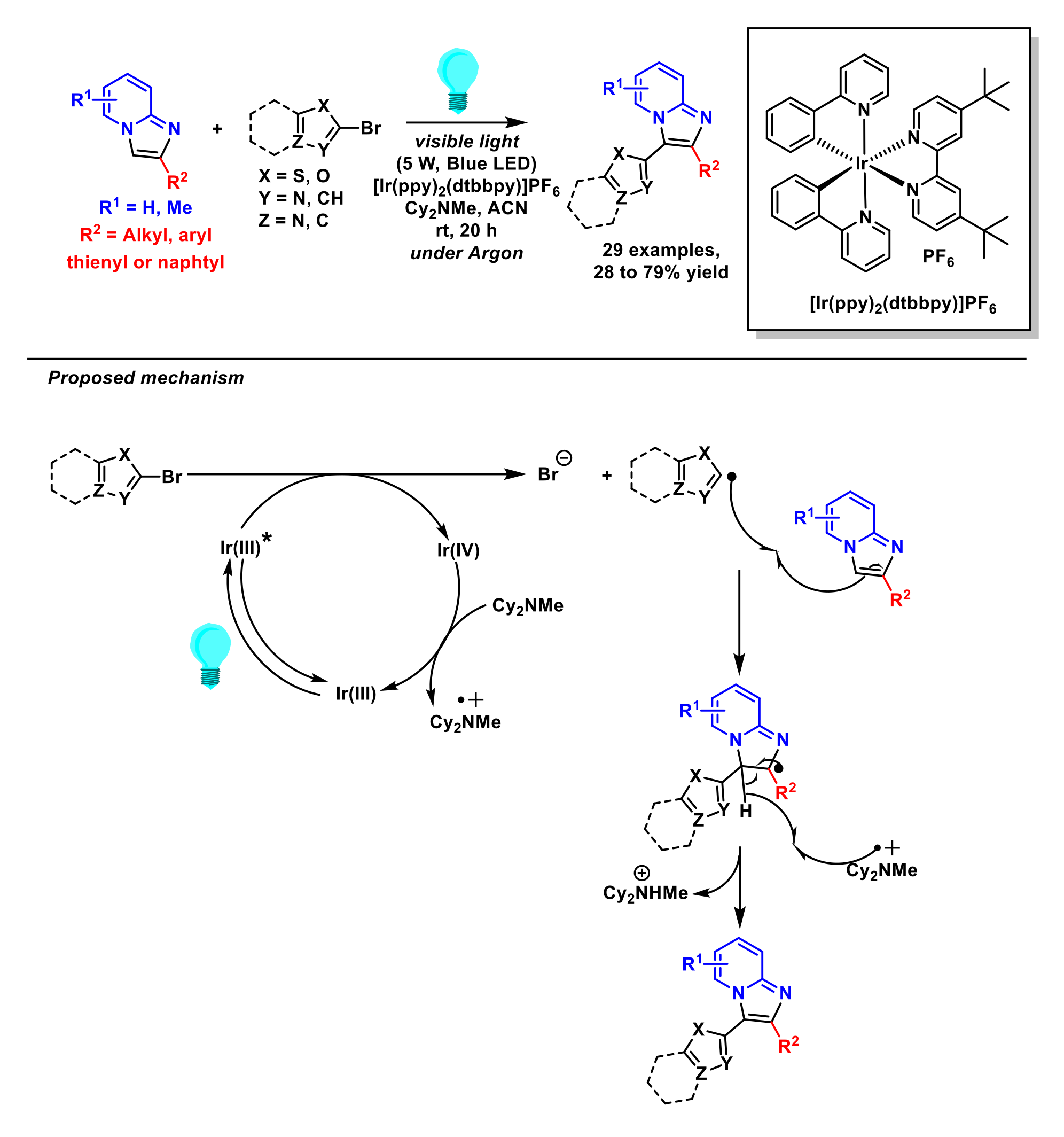 Molecules 27 03461 sch030