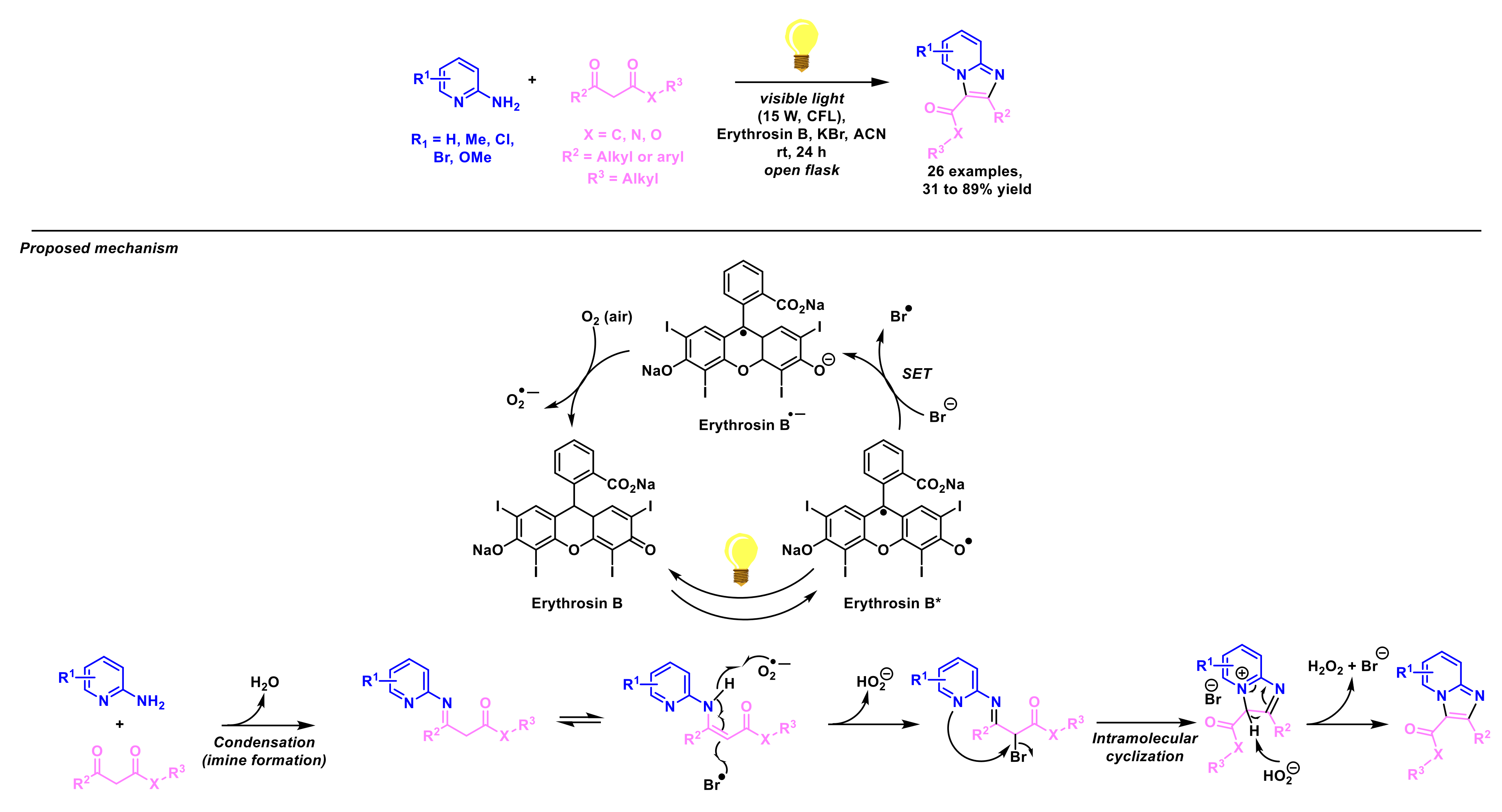 Molecules 27 03461 sch055