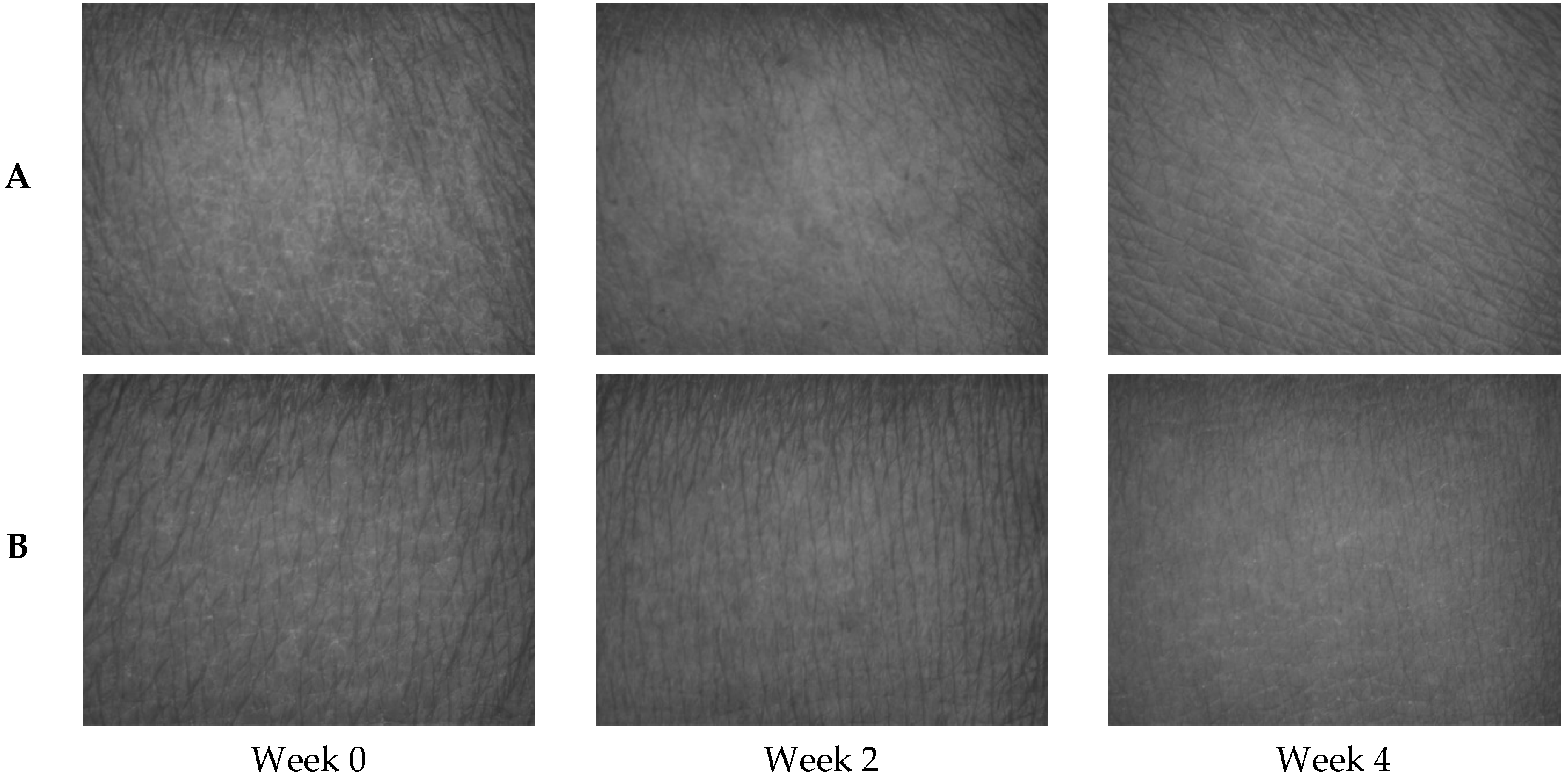 Molecules 27 03463 g017