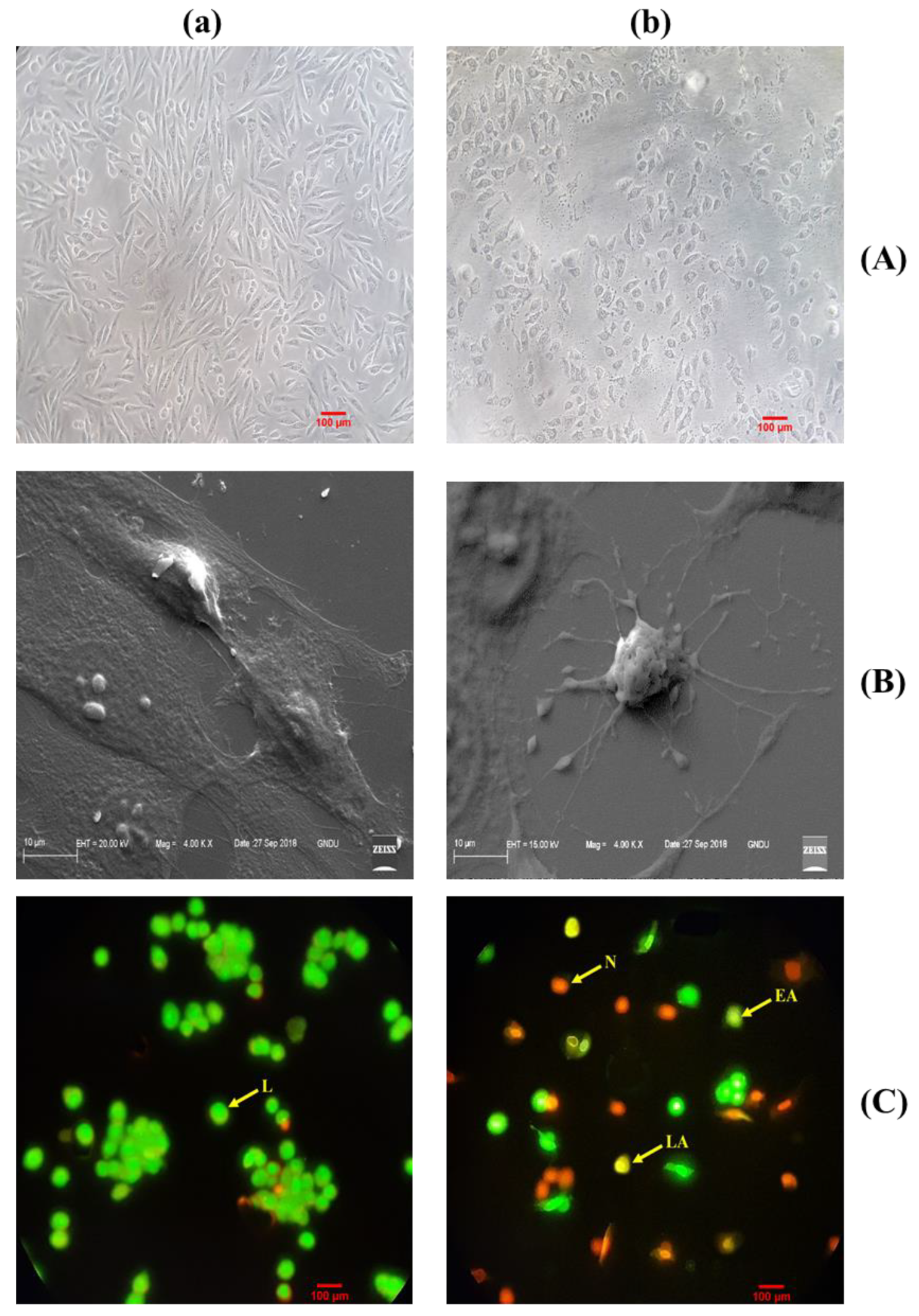 Molecules 27 03478 g009a