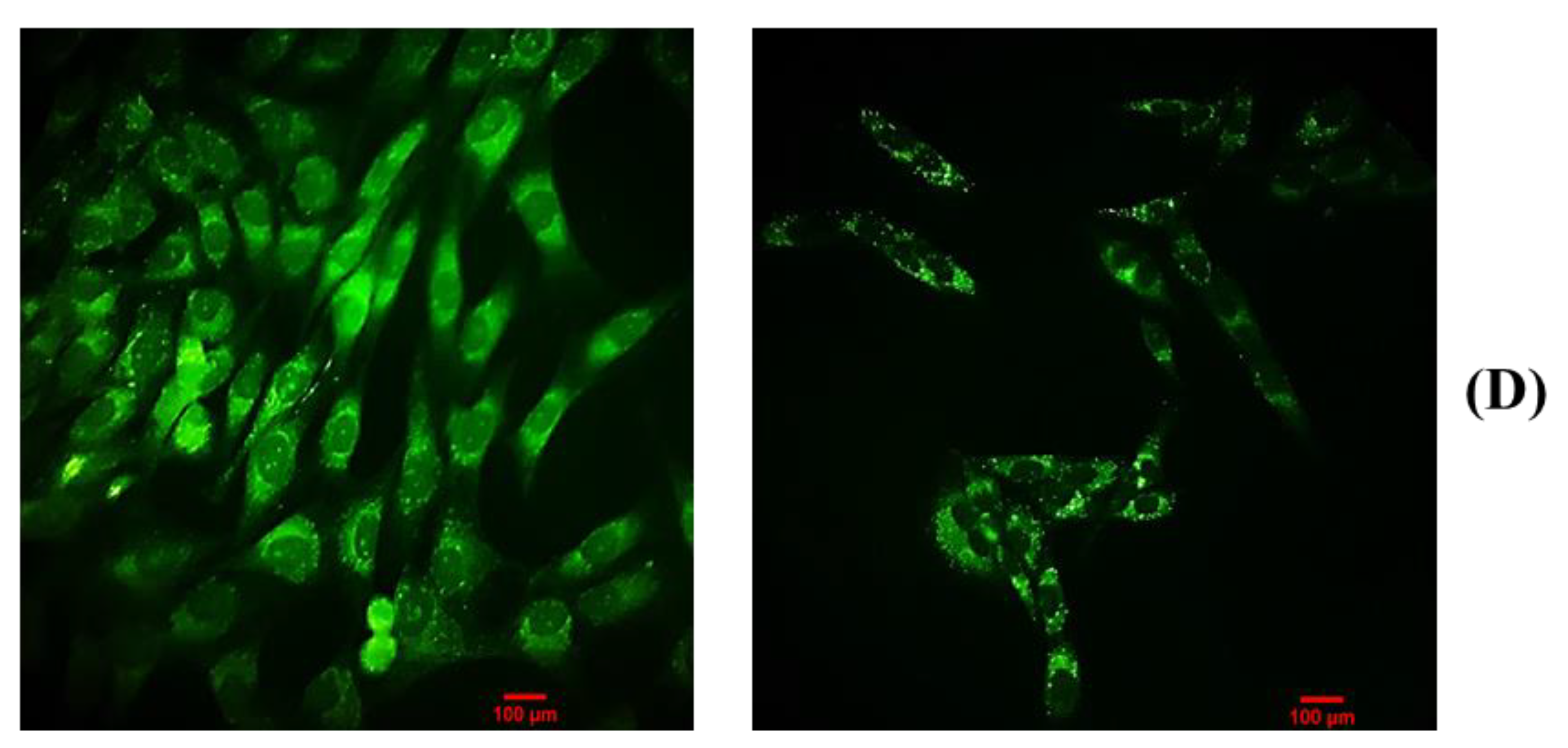 Molecules 27 03478 g009b