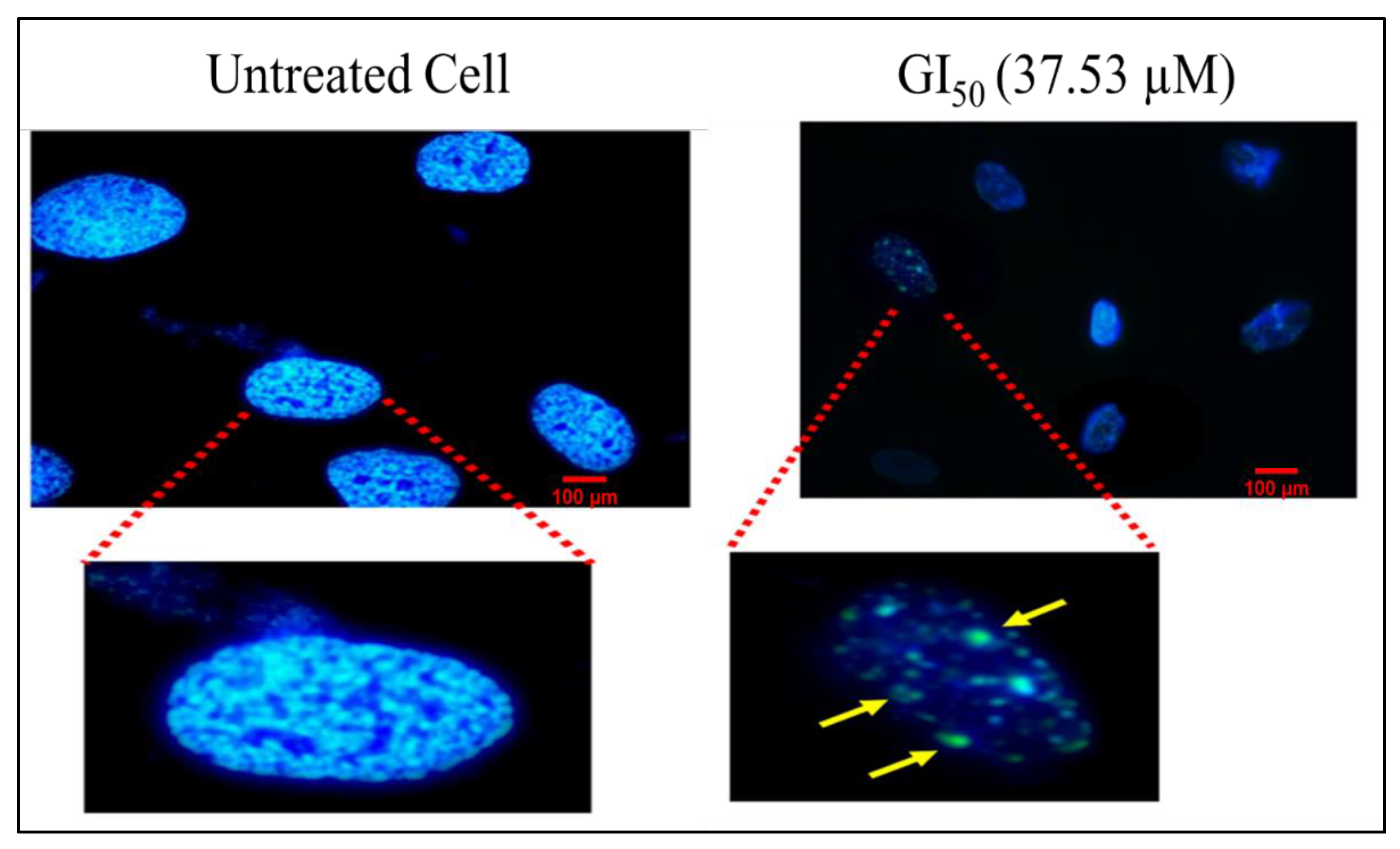 Molecules 27 03478 g010