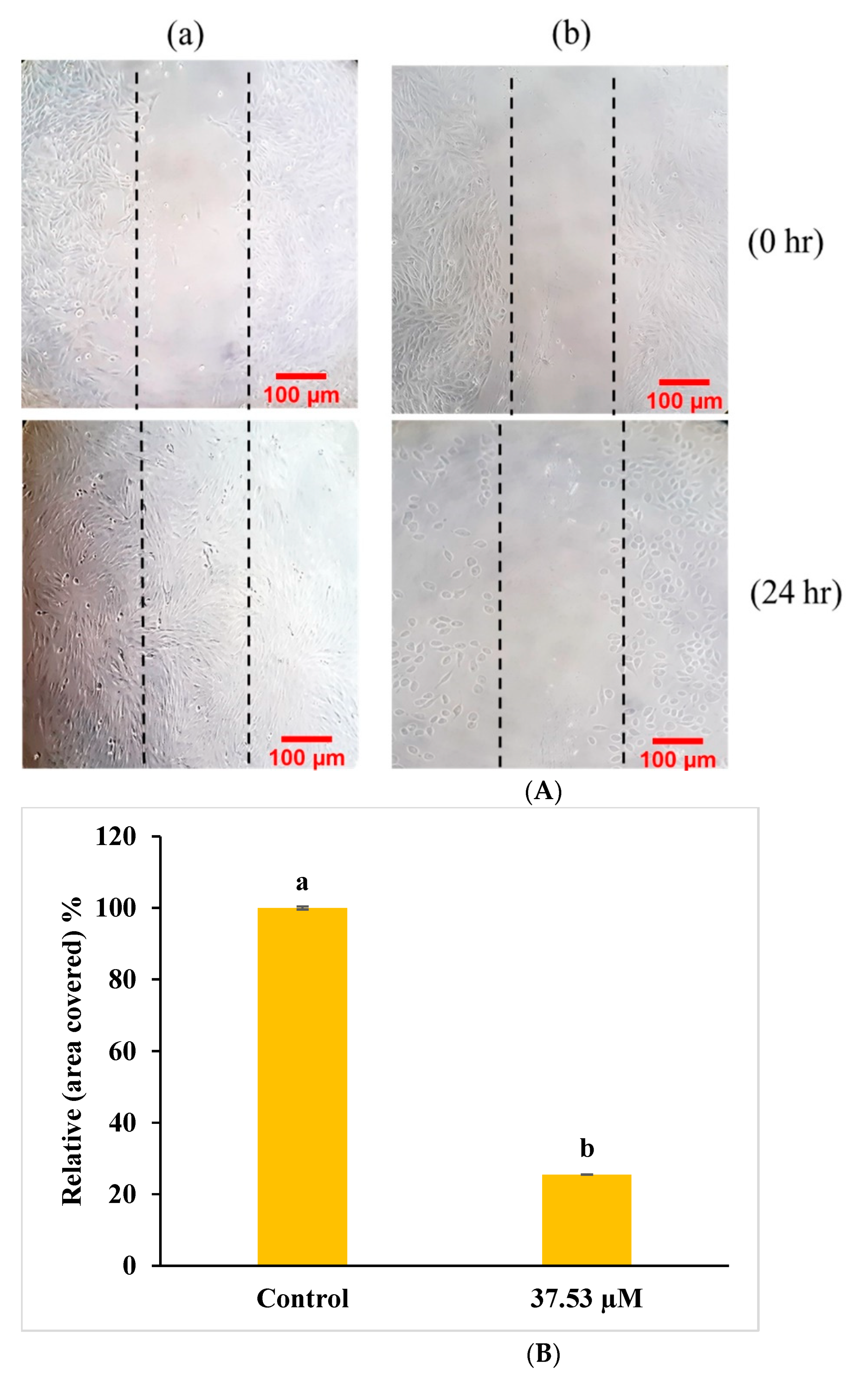 Molecules 27 03478 g011