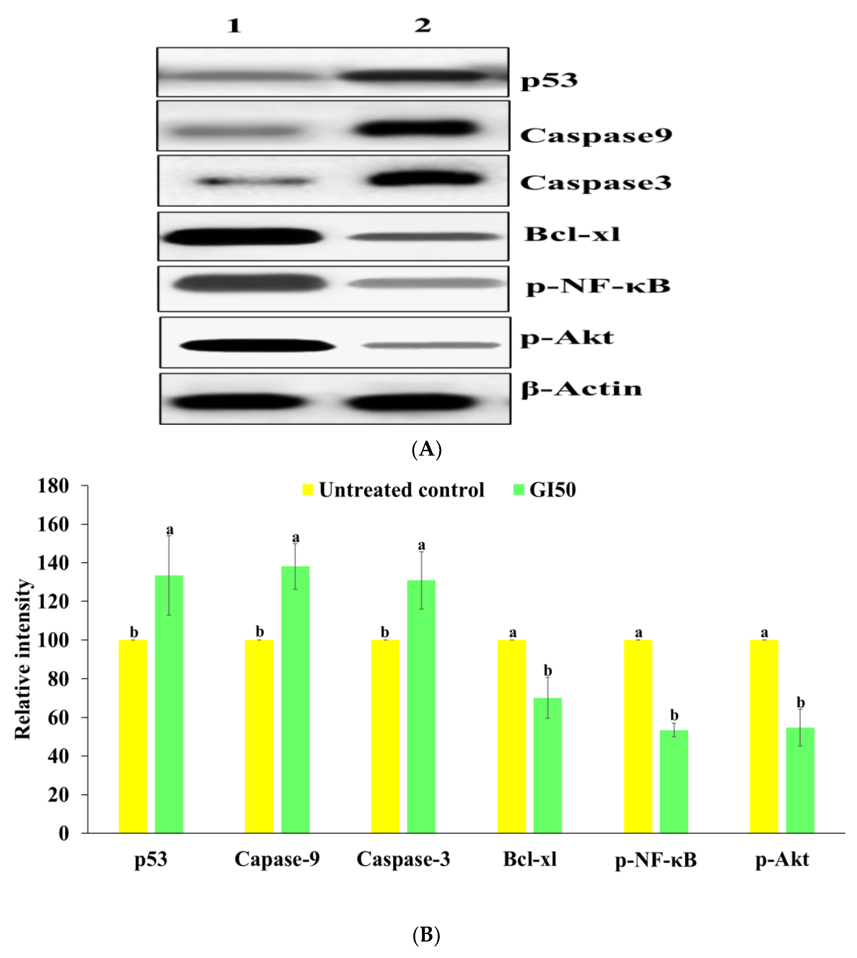Molecules 27 03478 g013
