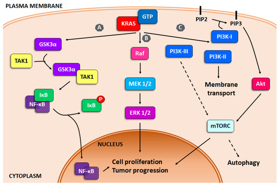 Sesquiterpene Lactones as Promising Candidates for Cancer