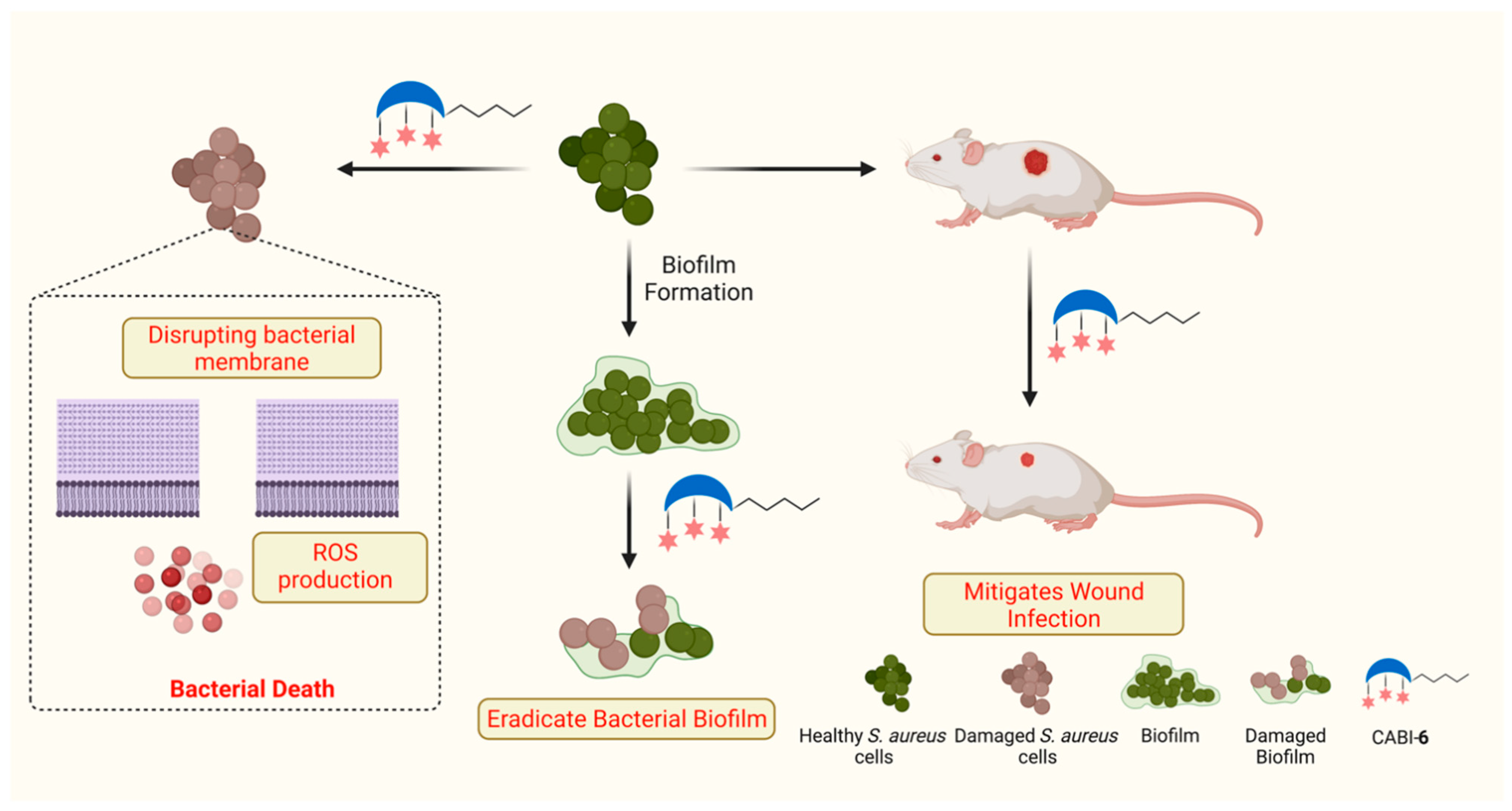 Molecules 27 03501 g001 Molecules 27 03501 g001