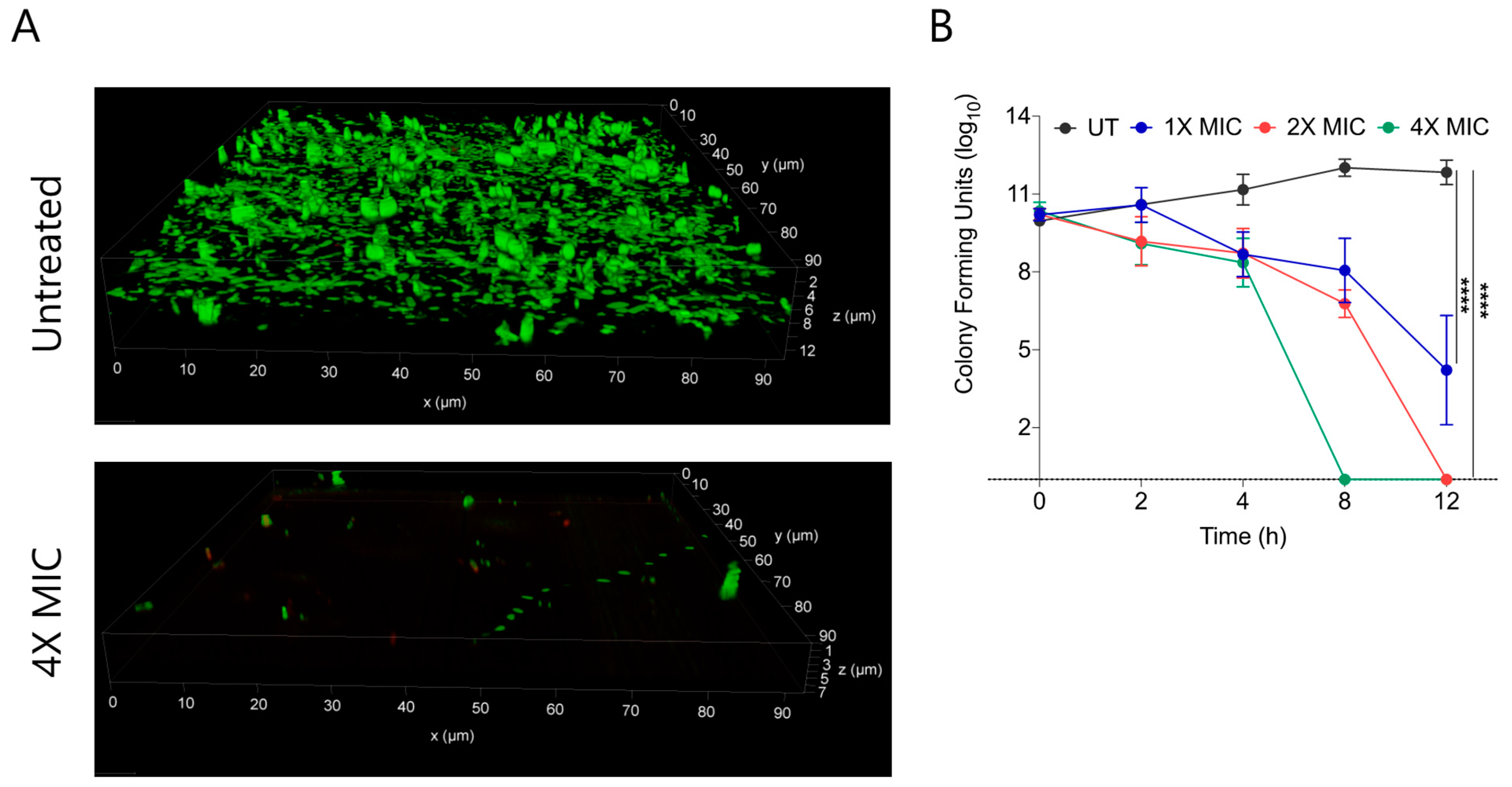 Molecules 27 03501 g004 Molecules 27 03501 g004