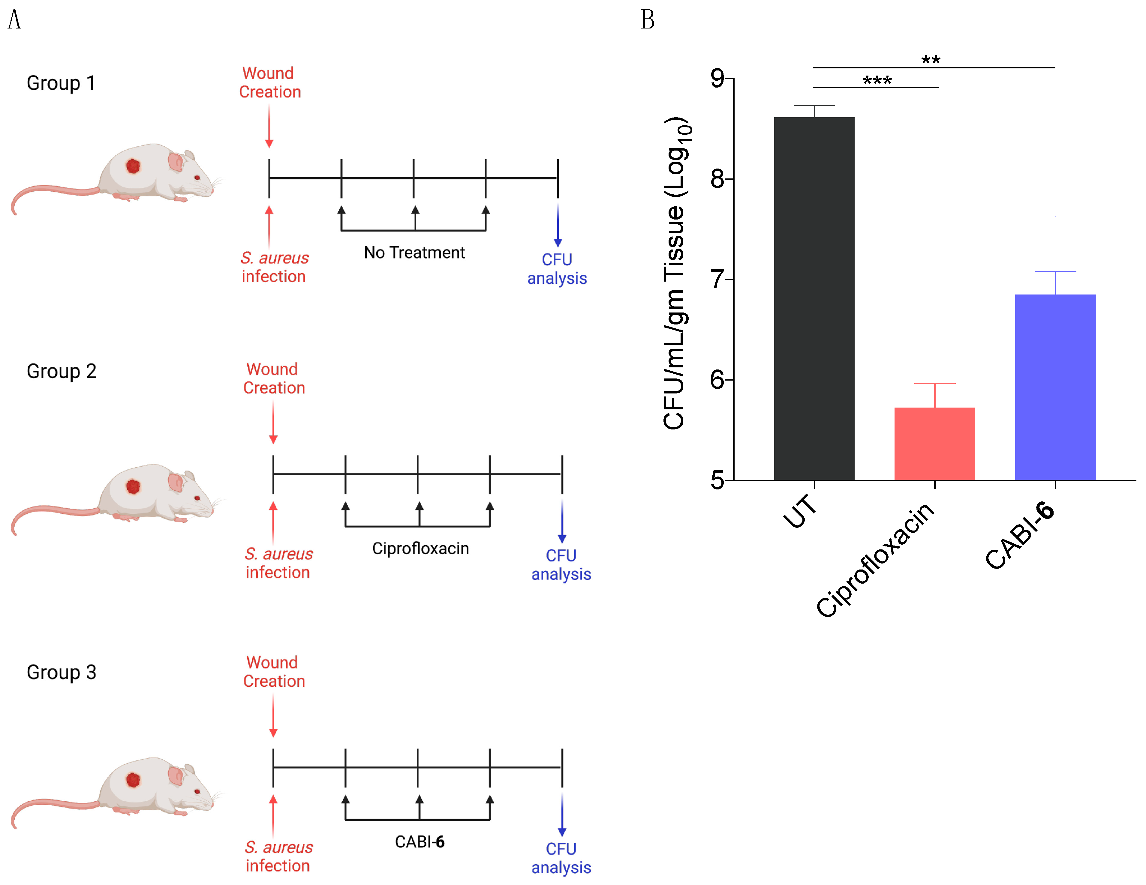 Molecules 27 03501 g005 Molecules 27 03501 g005