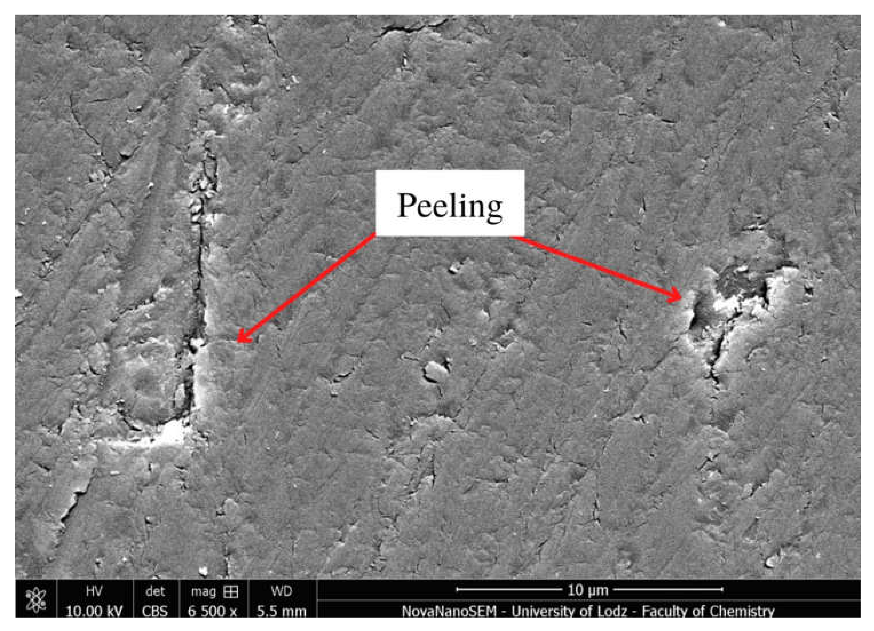 Molecules 27 03511 g004