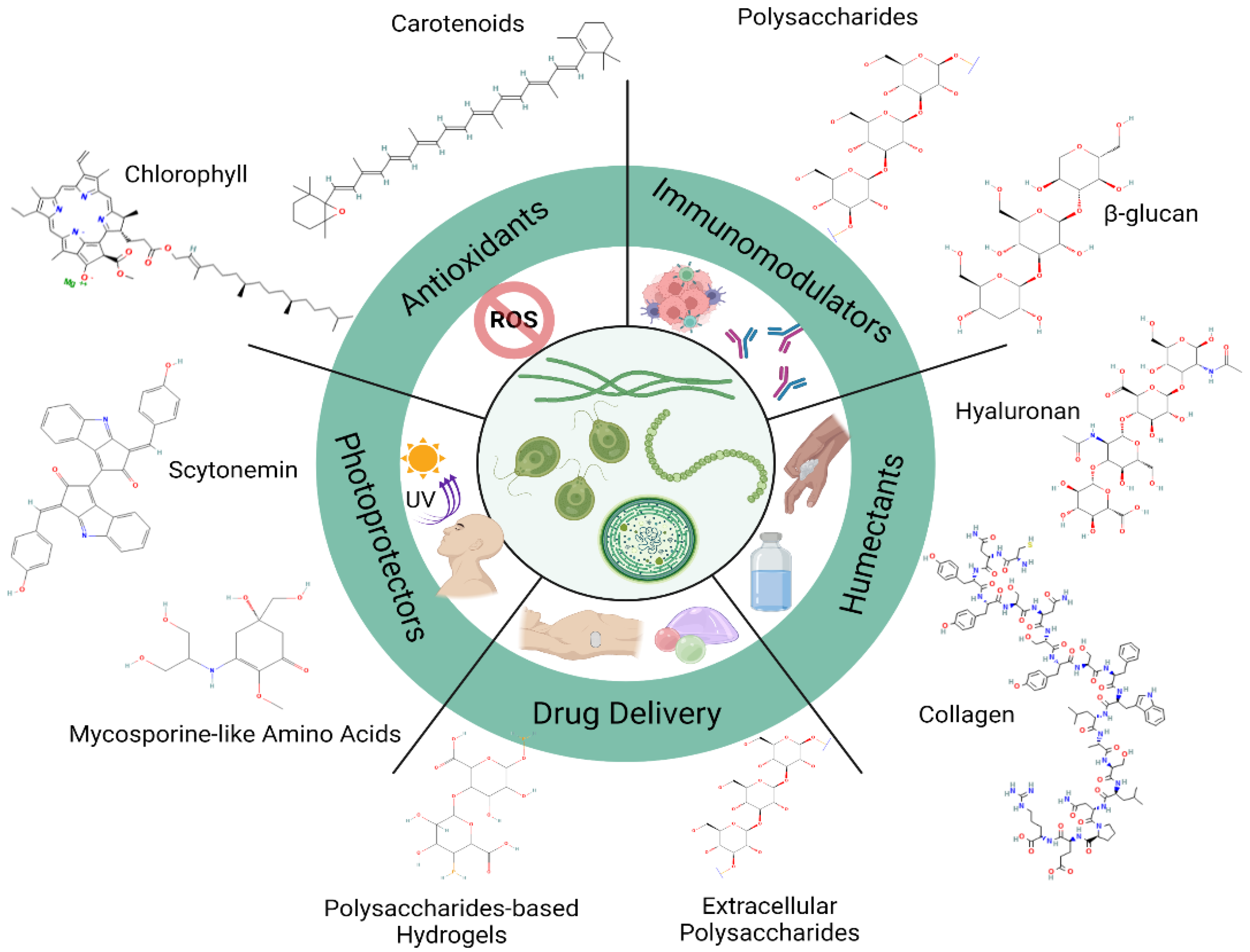 Molecules, Free Full-Text