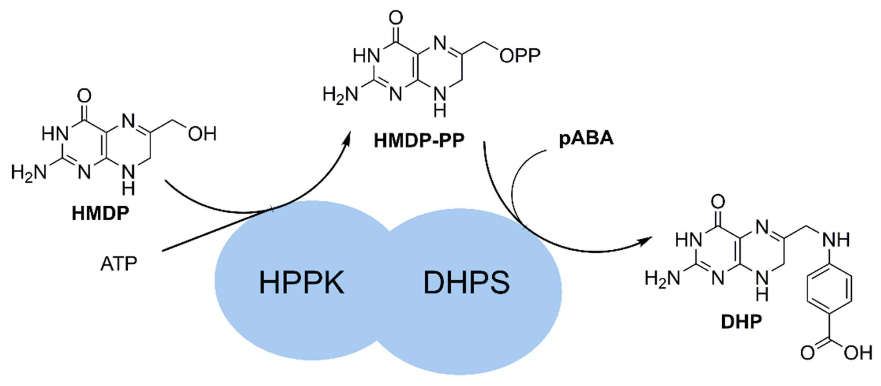 Molecules 27 03515 g001