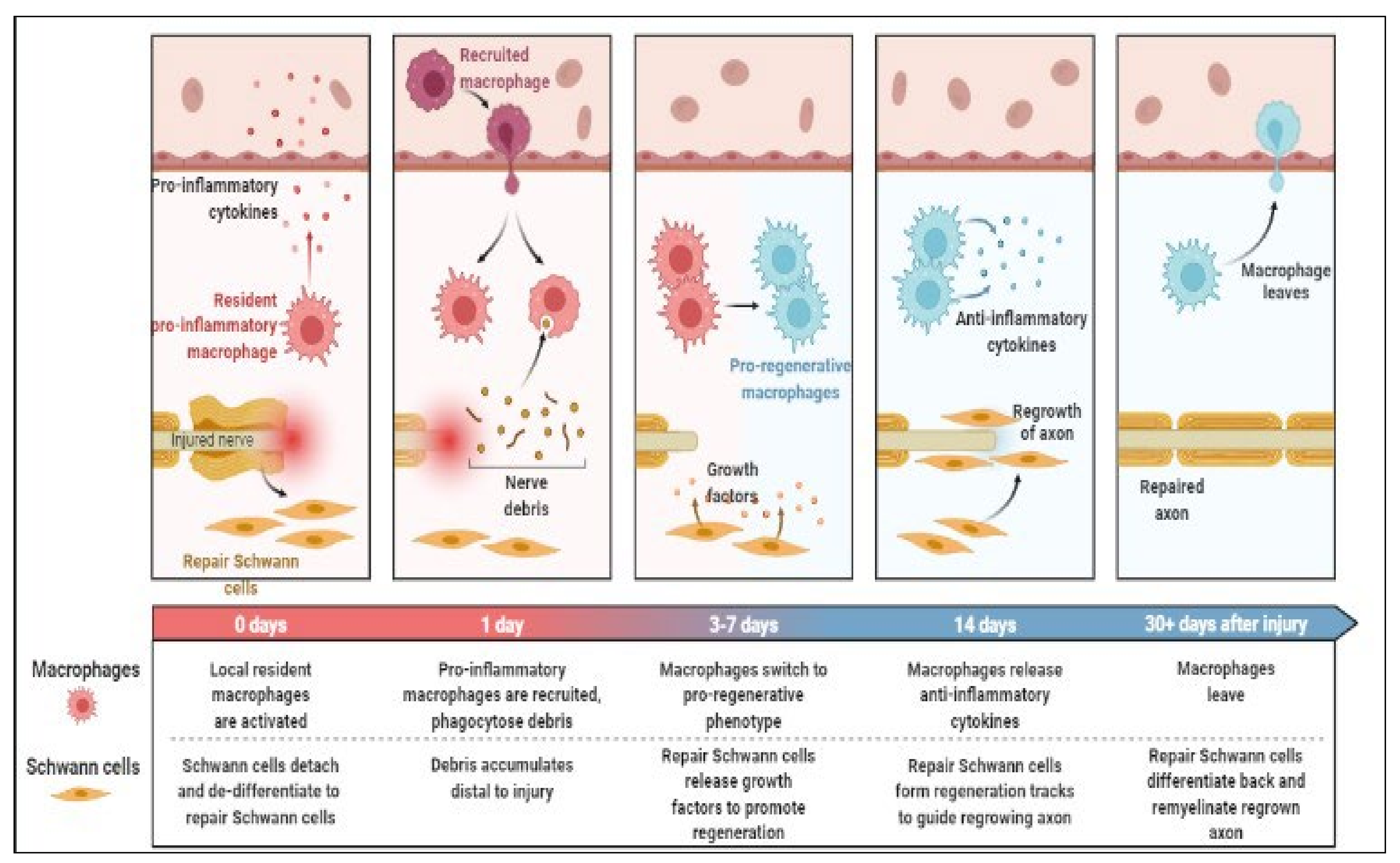 Molecules 27 03516 g001 Molecules 27 03516 g001