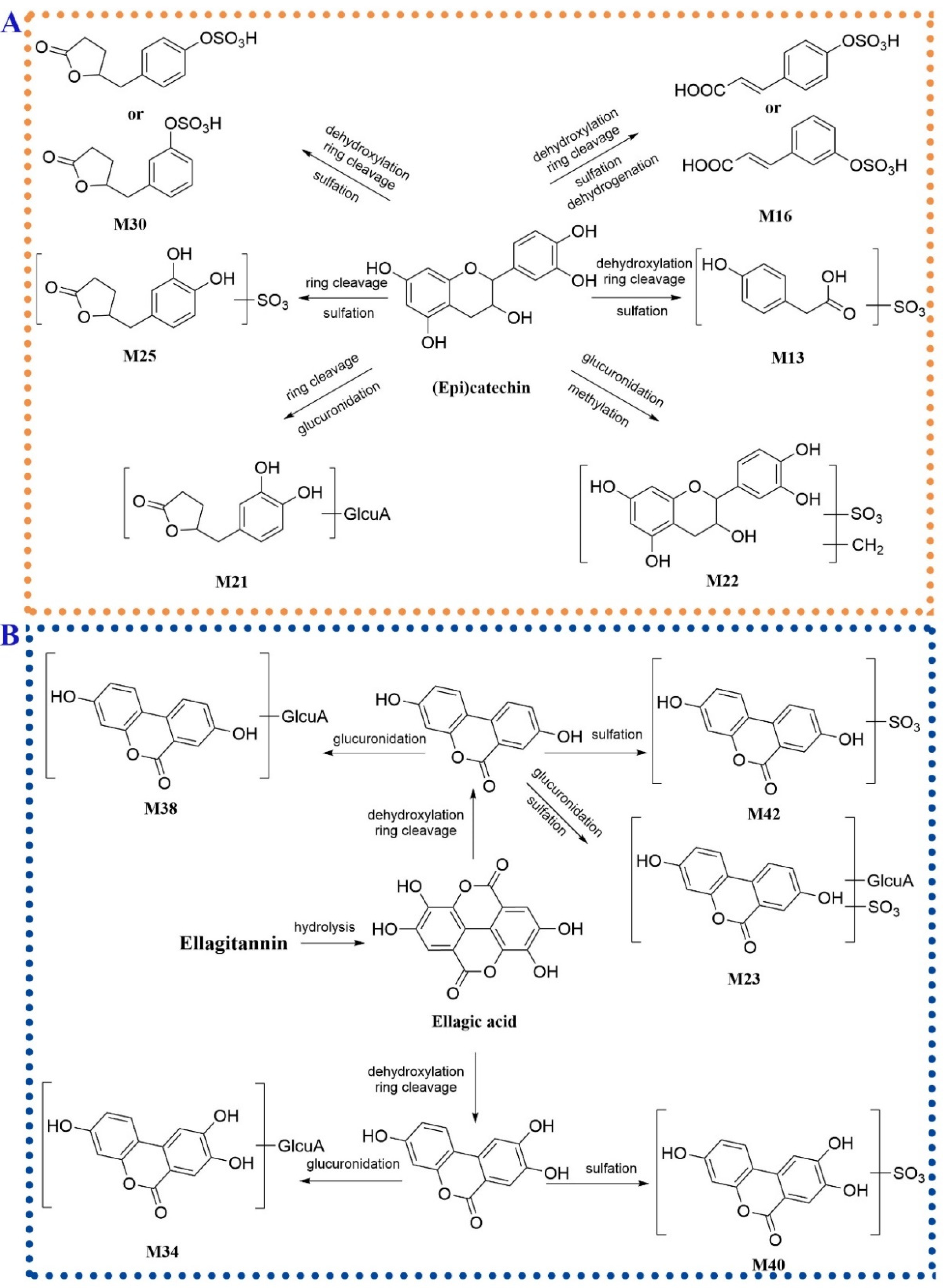 Molecules 27 03521 g006 550