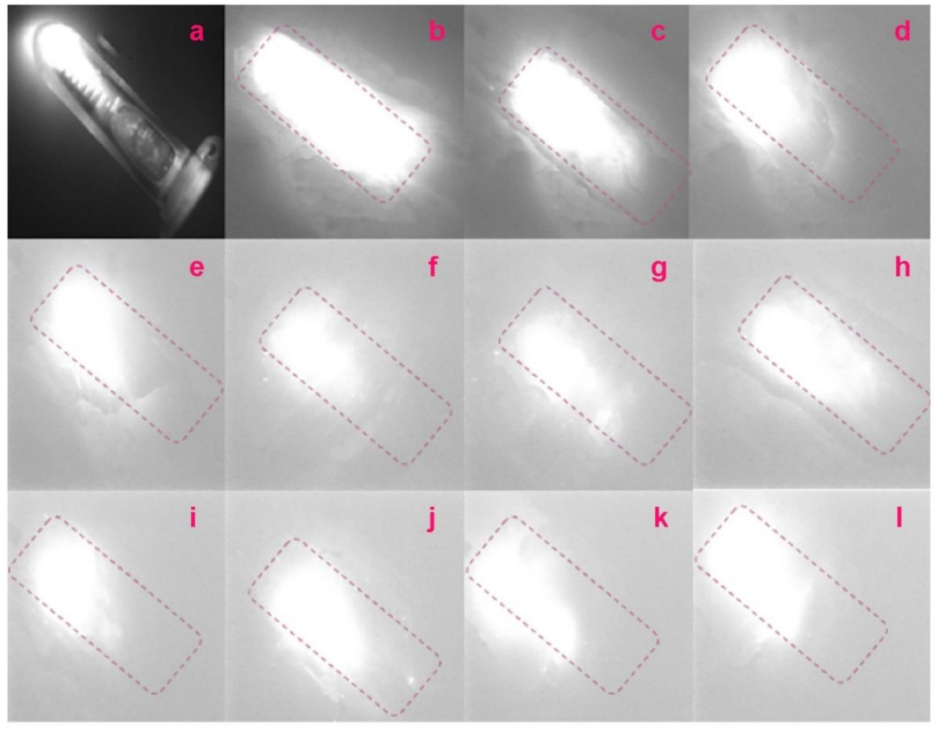 Molecules 27 03522 g005 550