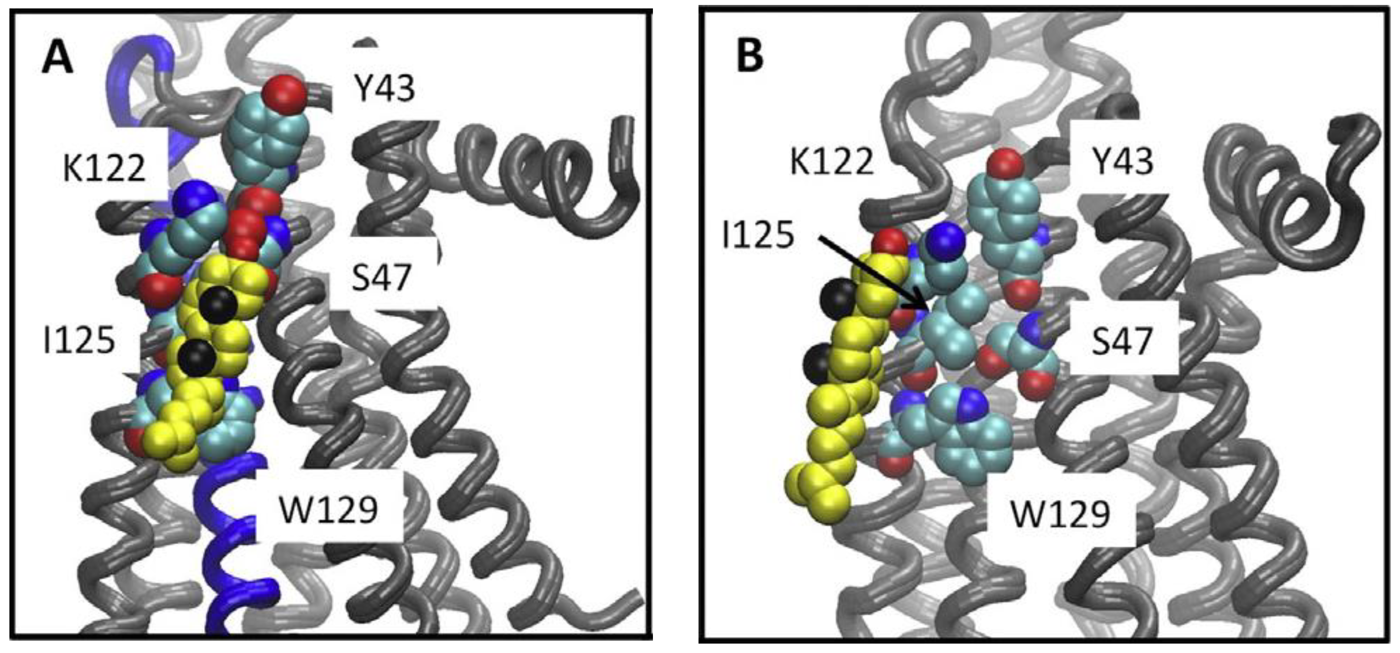 Molecules 27 03529 g001