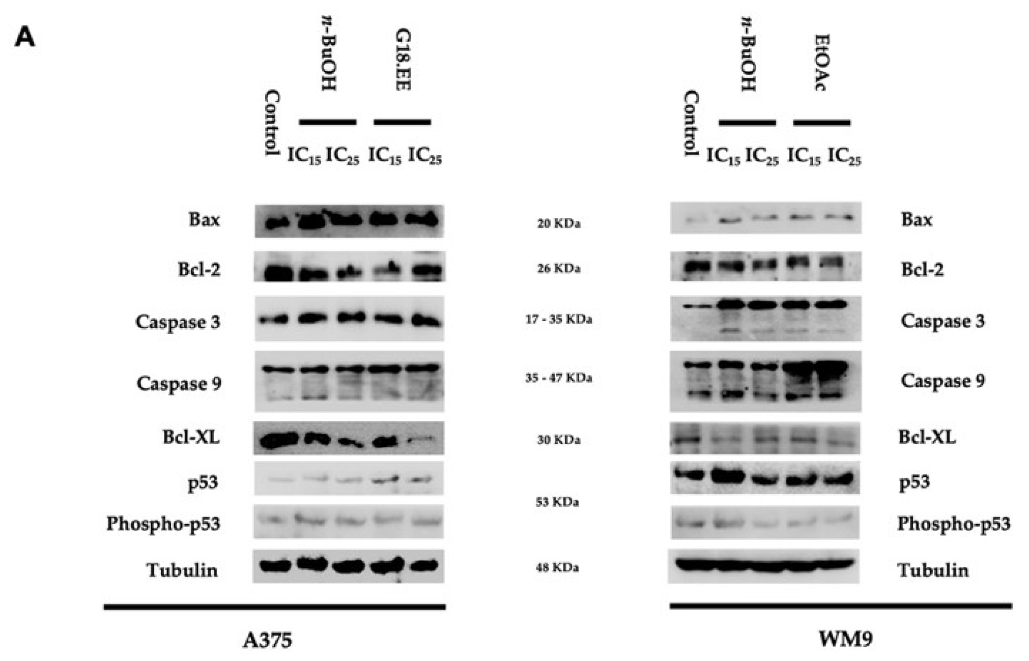 Molecules 27 03533 g004a Molecules 27 03533 g004a