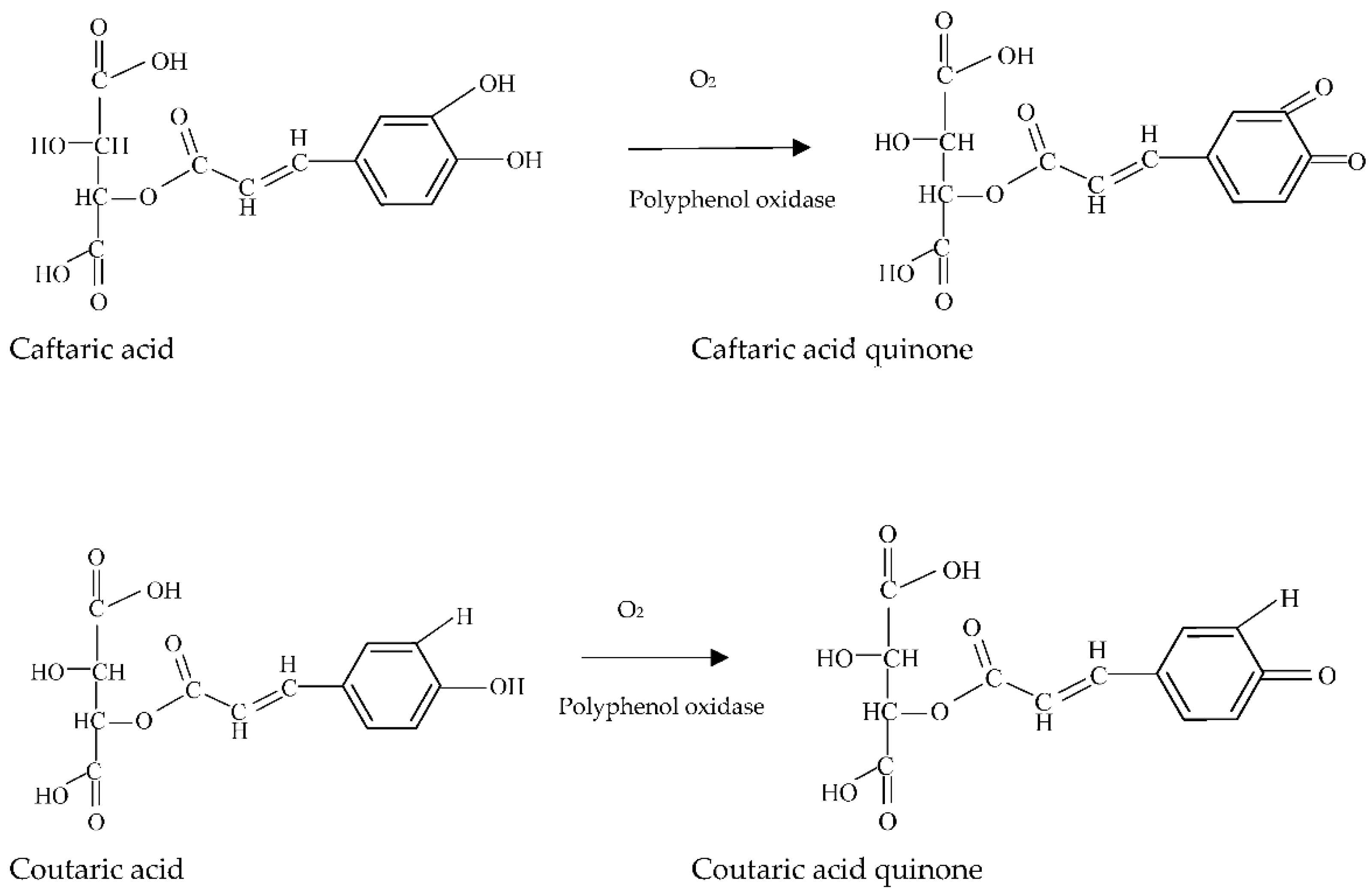 Molecules 27 03535 g004