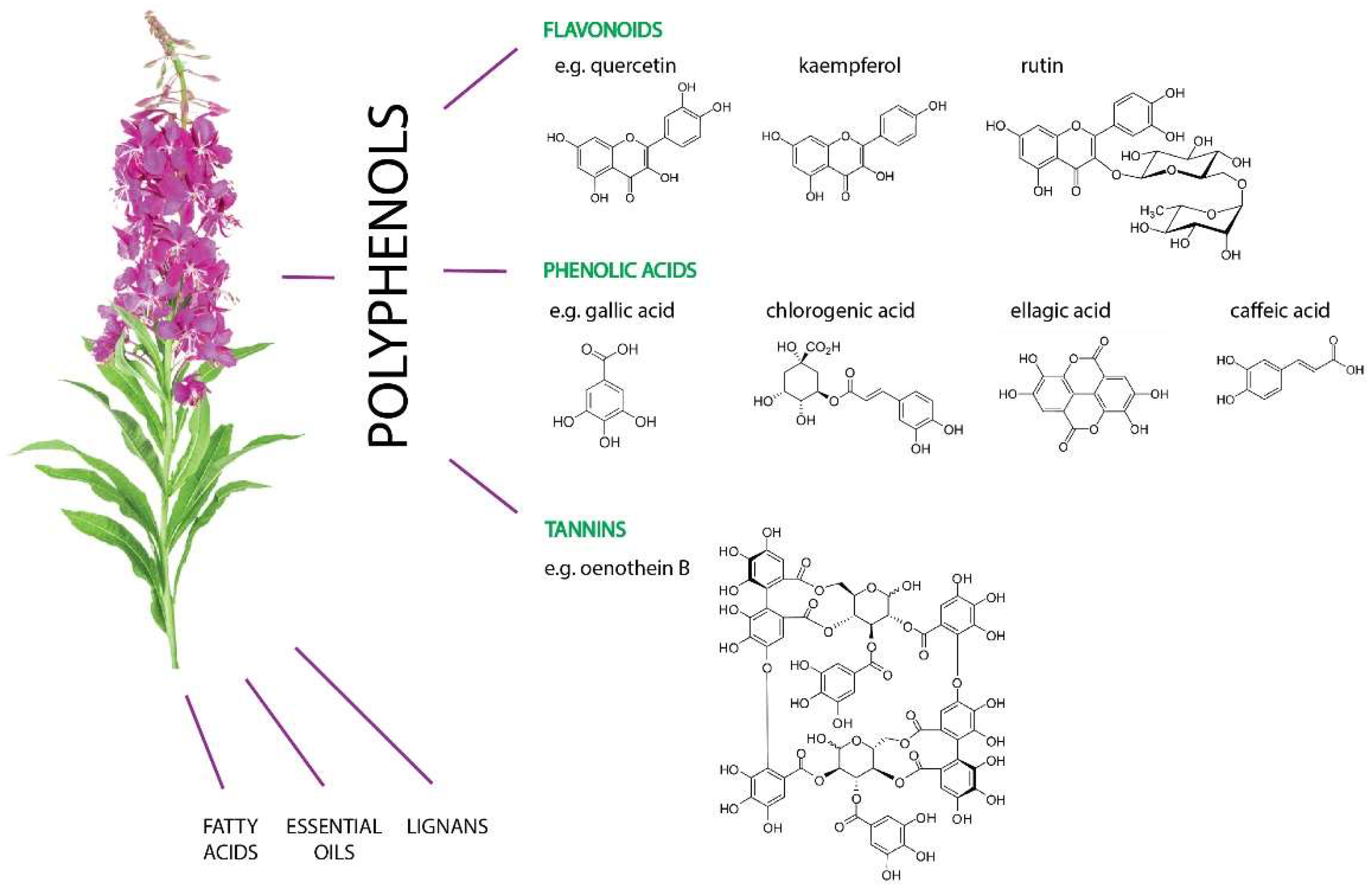 Molecules 27 03536 g002