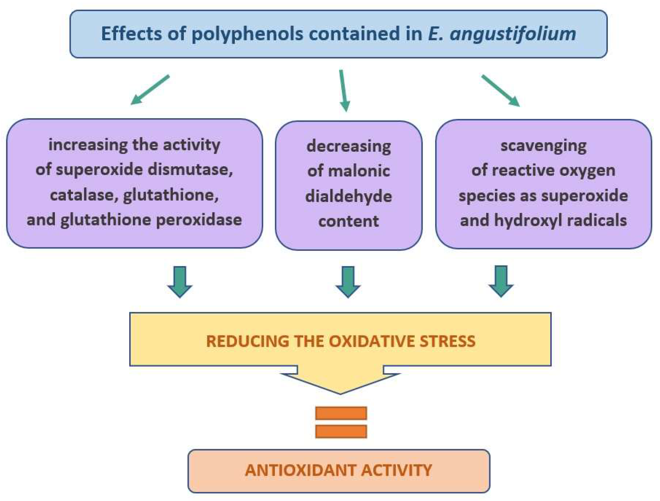 Molecules 27 03536 g004